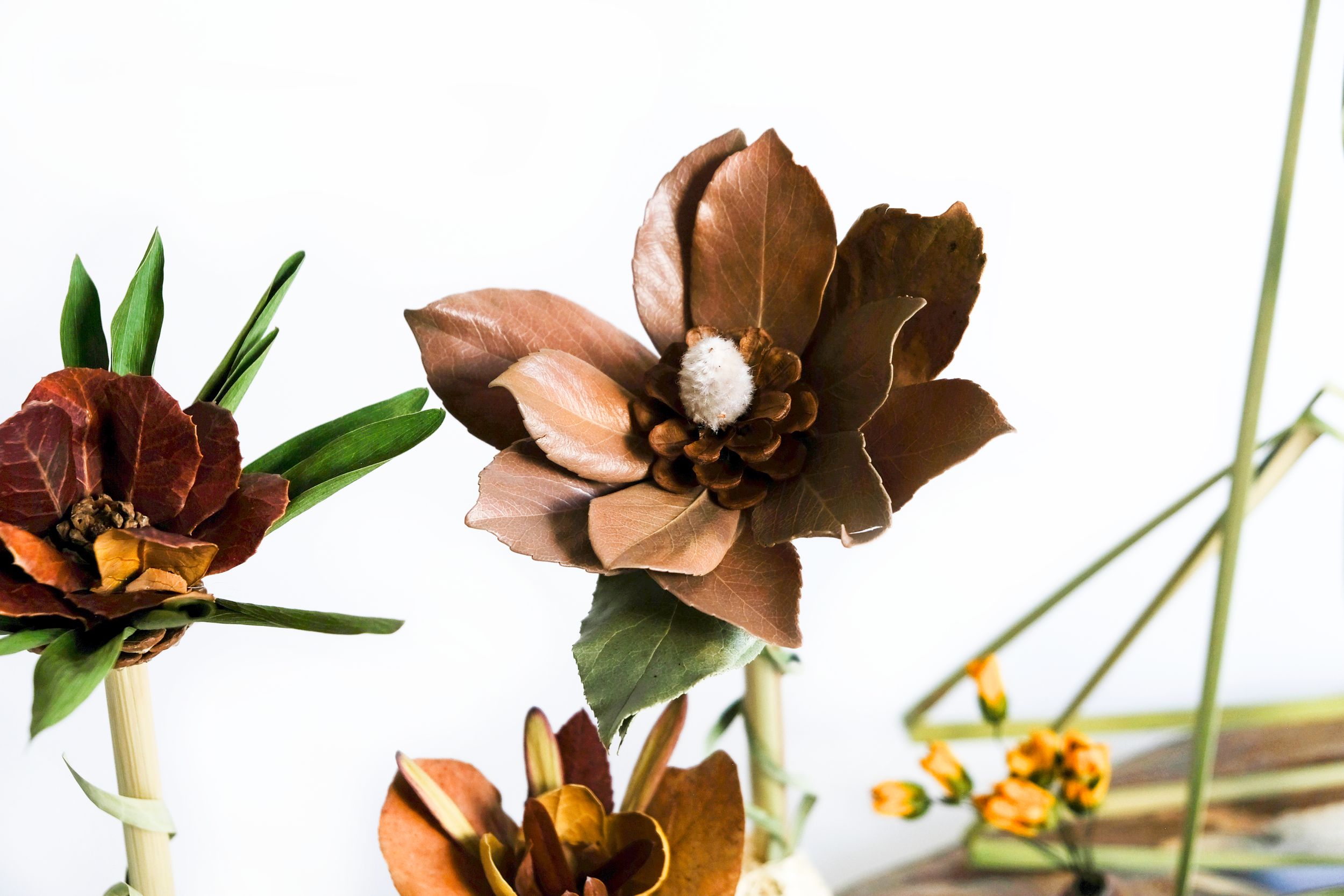 Teva Wonders Sept23 (1).png