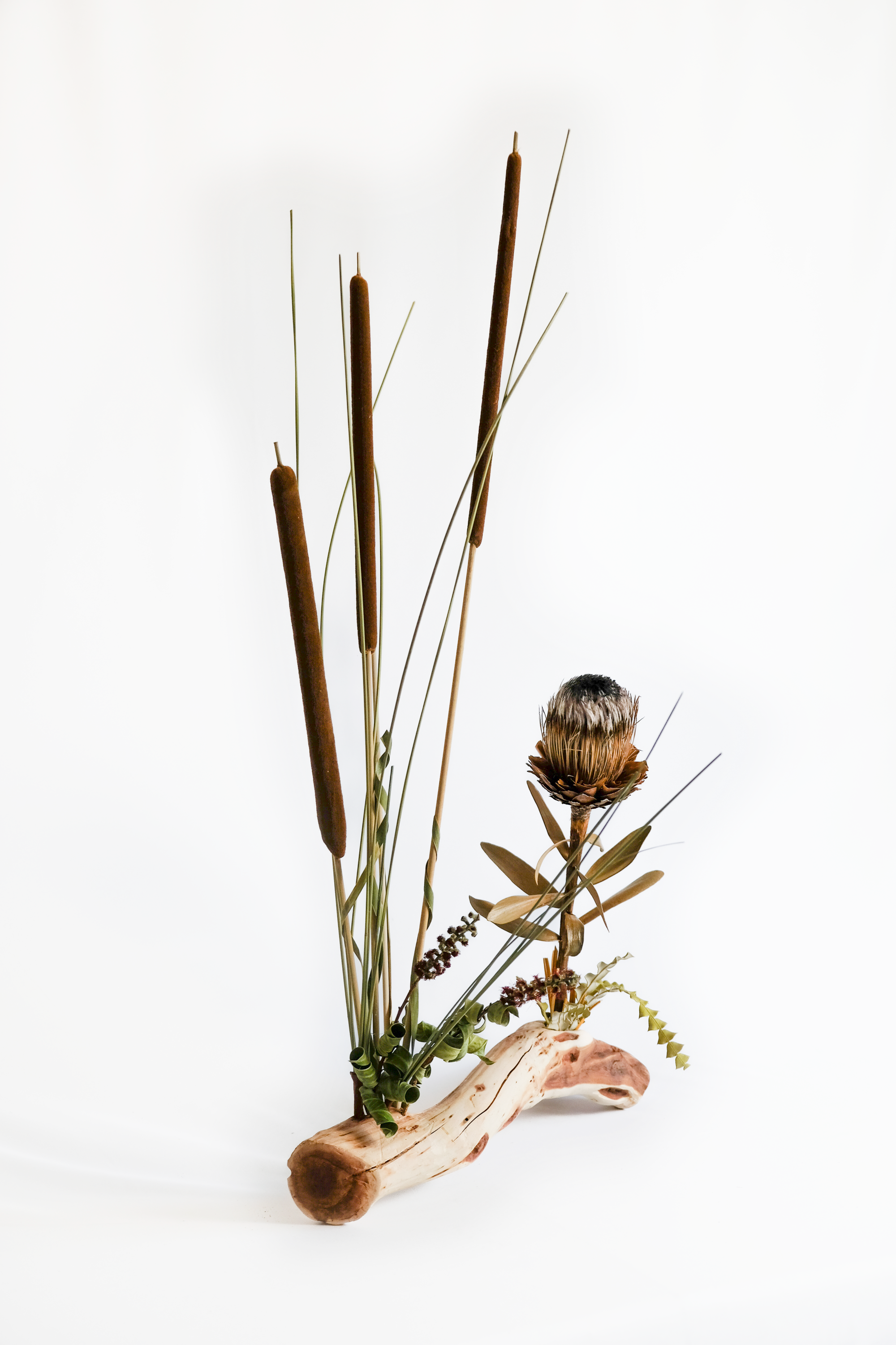 Teva Wonders Sept19 (1).png