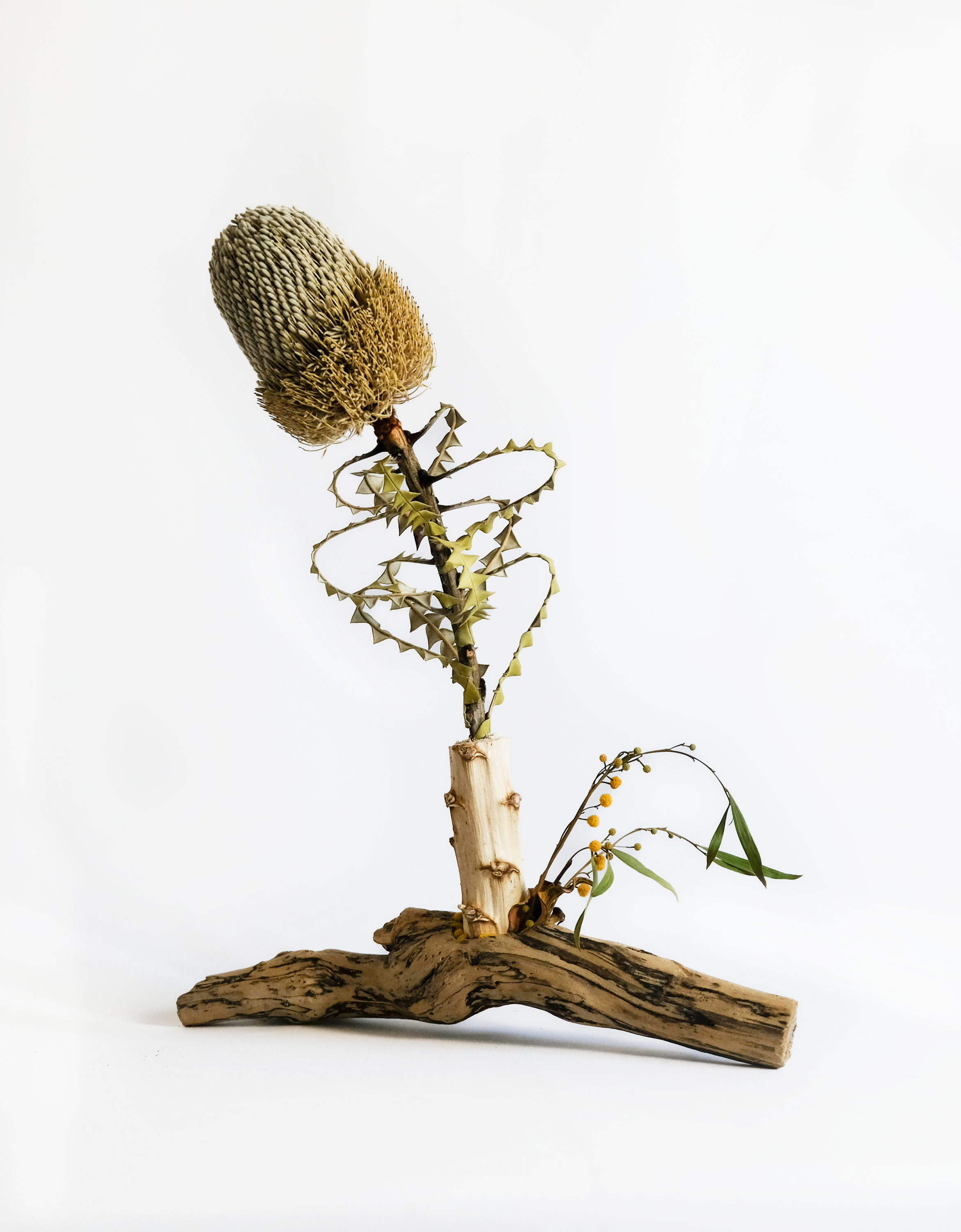 Teva Wonders Sept20 (2).png