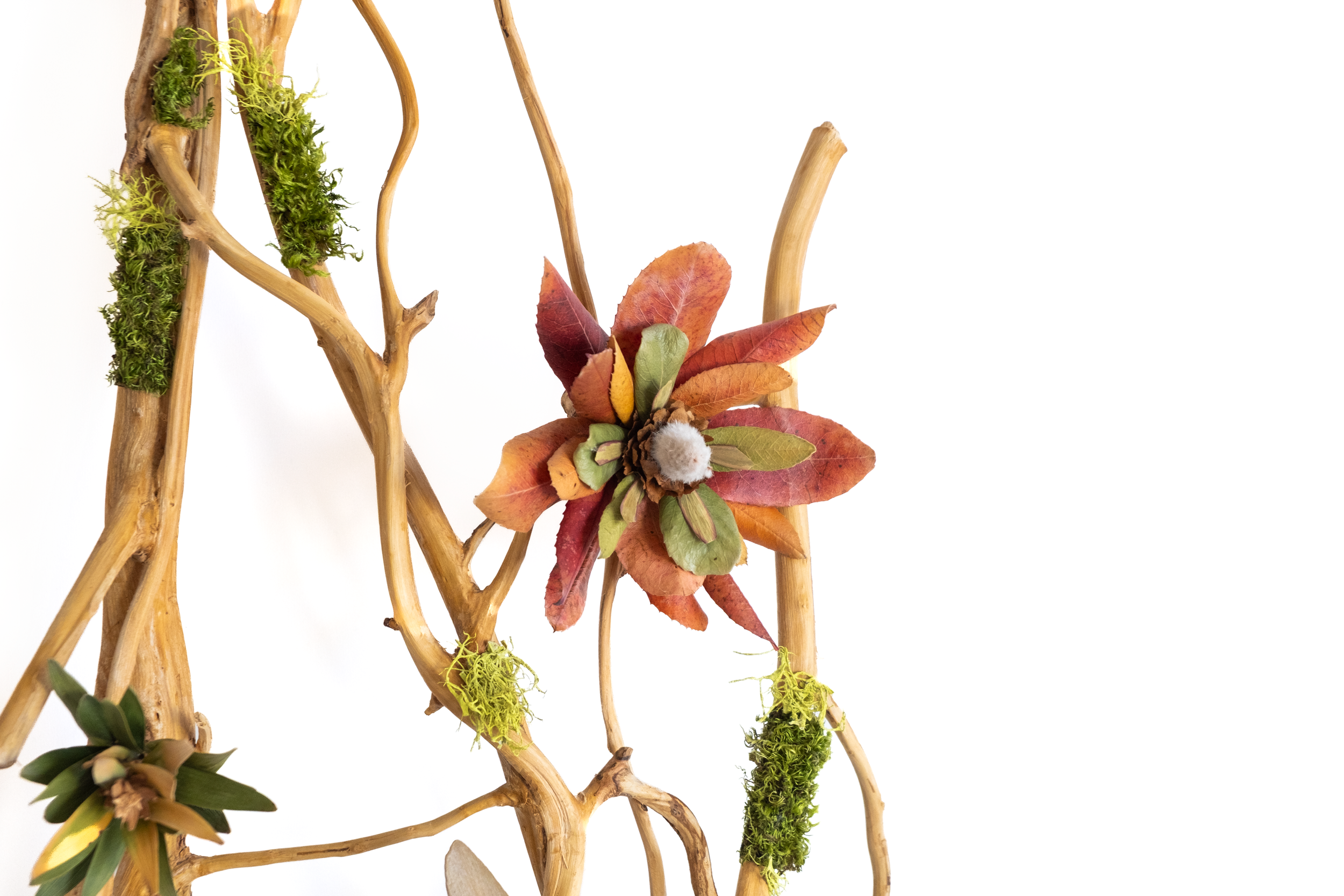 Teva Wonders Sept7 (1).png