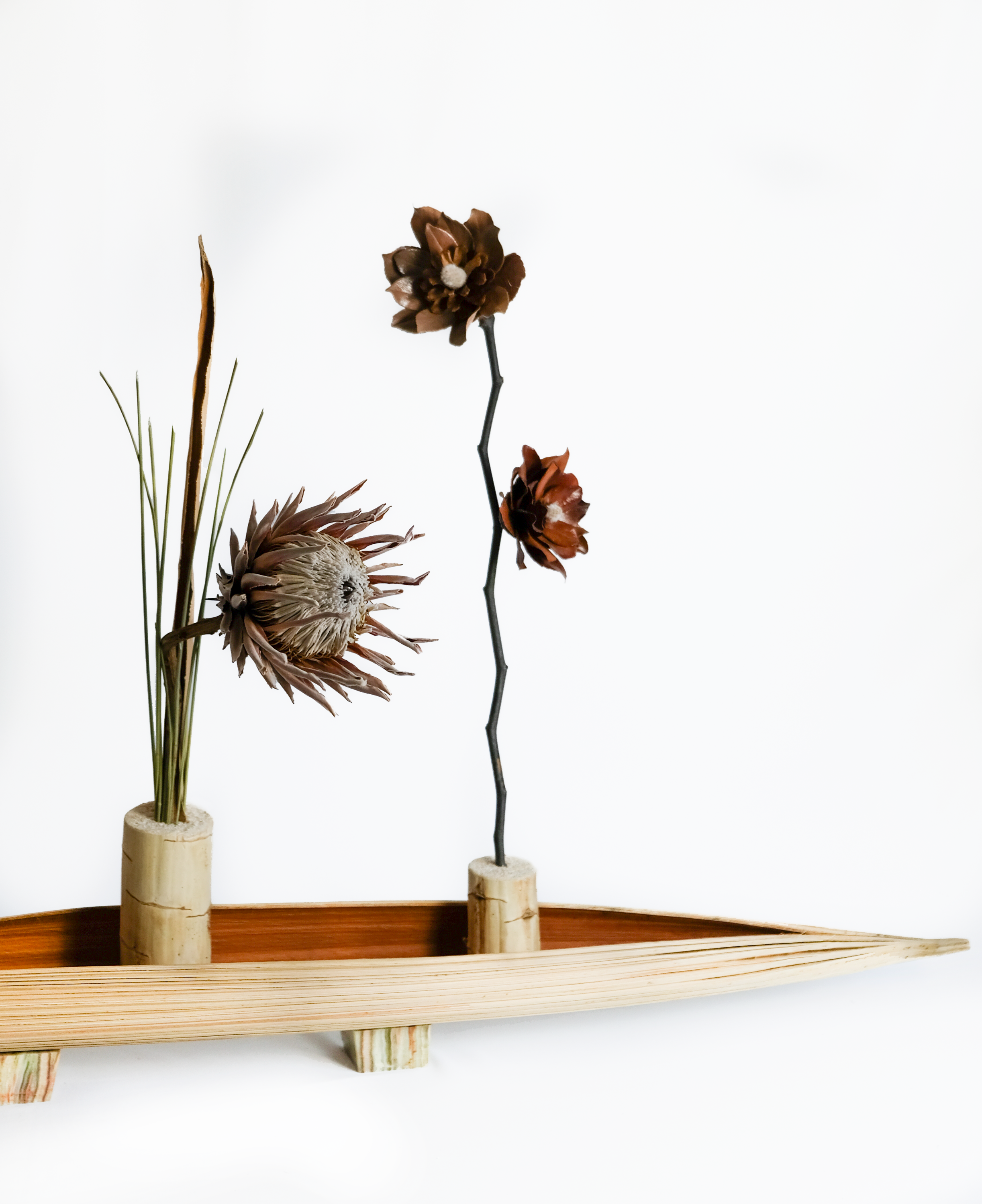 Teva Wonders Sept3.png