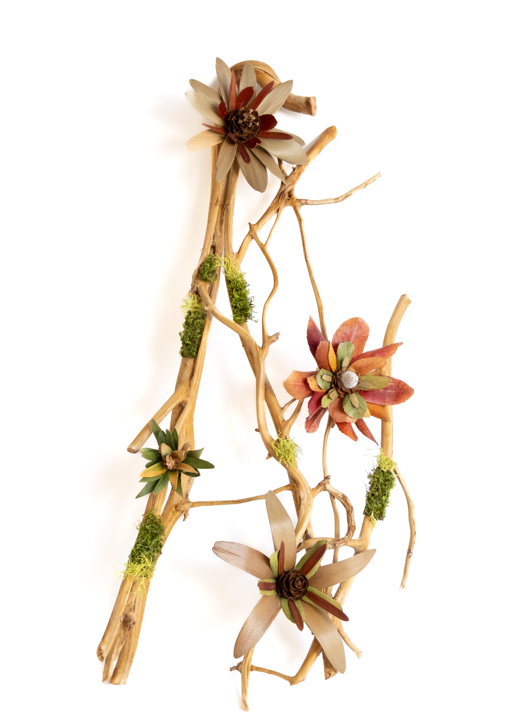 Teva Wonders Sept6 (1).png