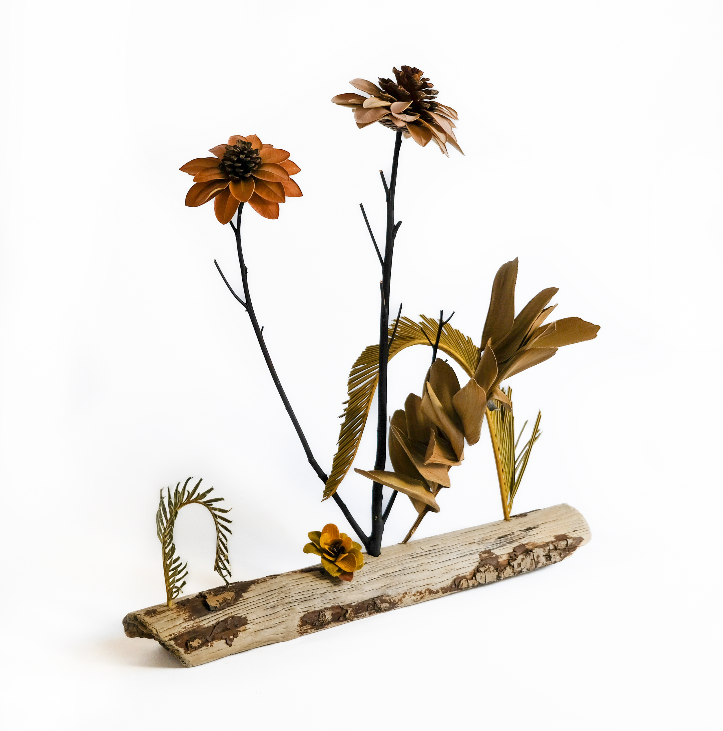 Teva Wonders Sept15 (1).png