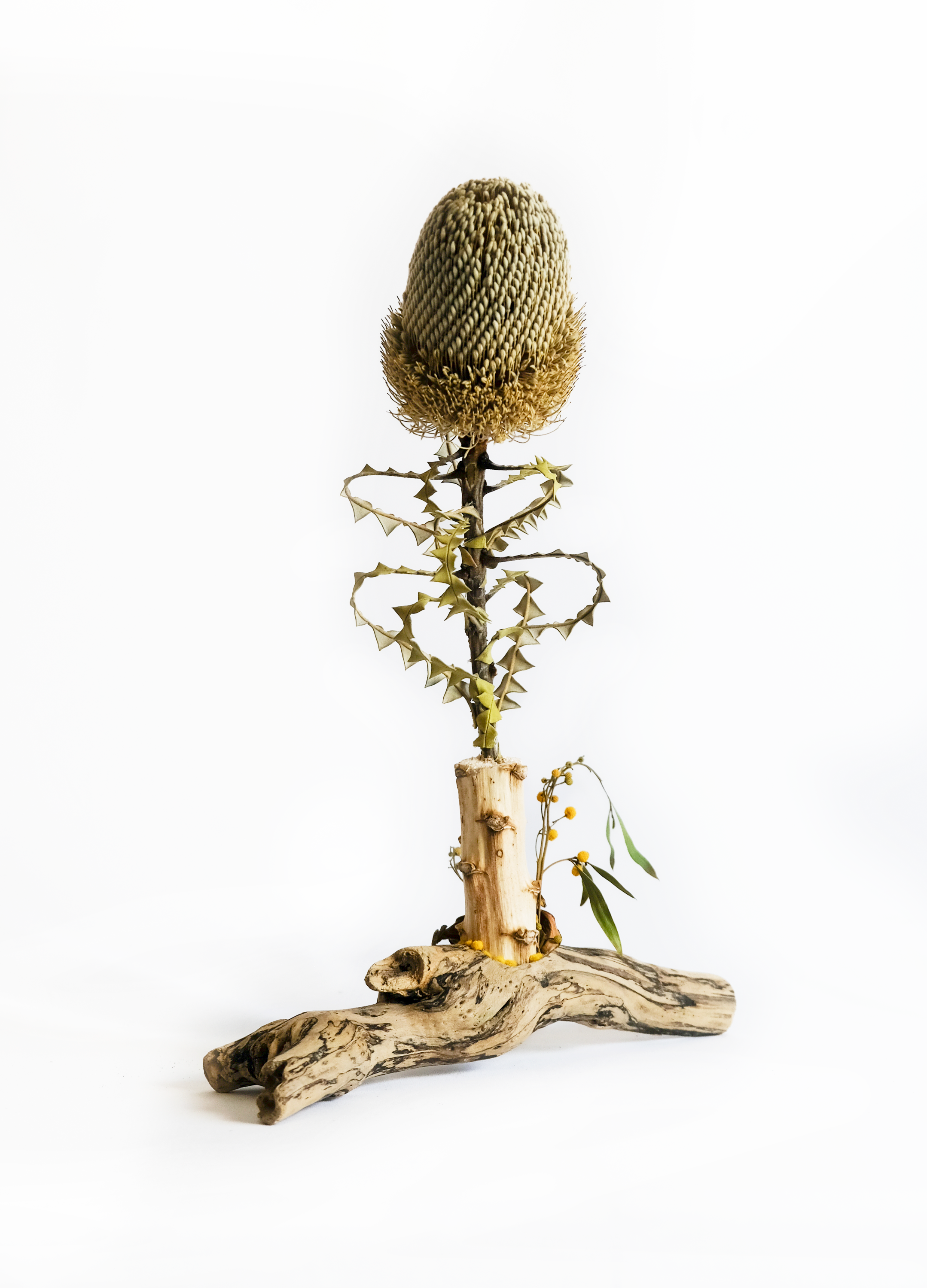 Teva Wonders Sept21 (2).png