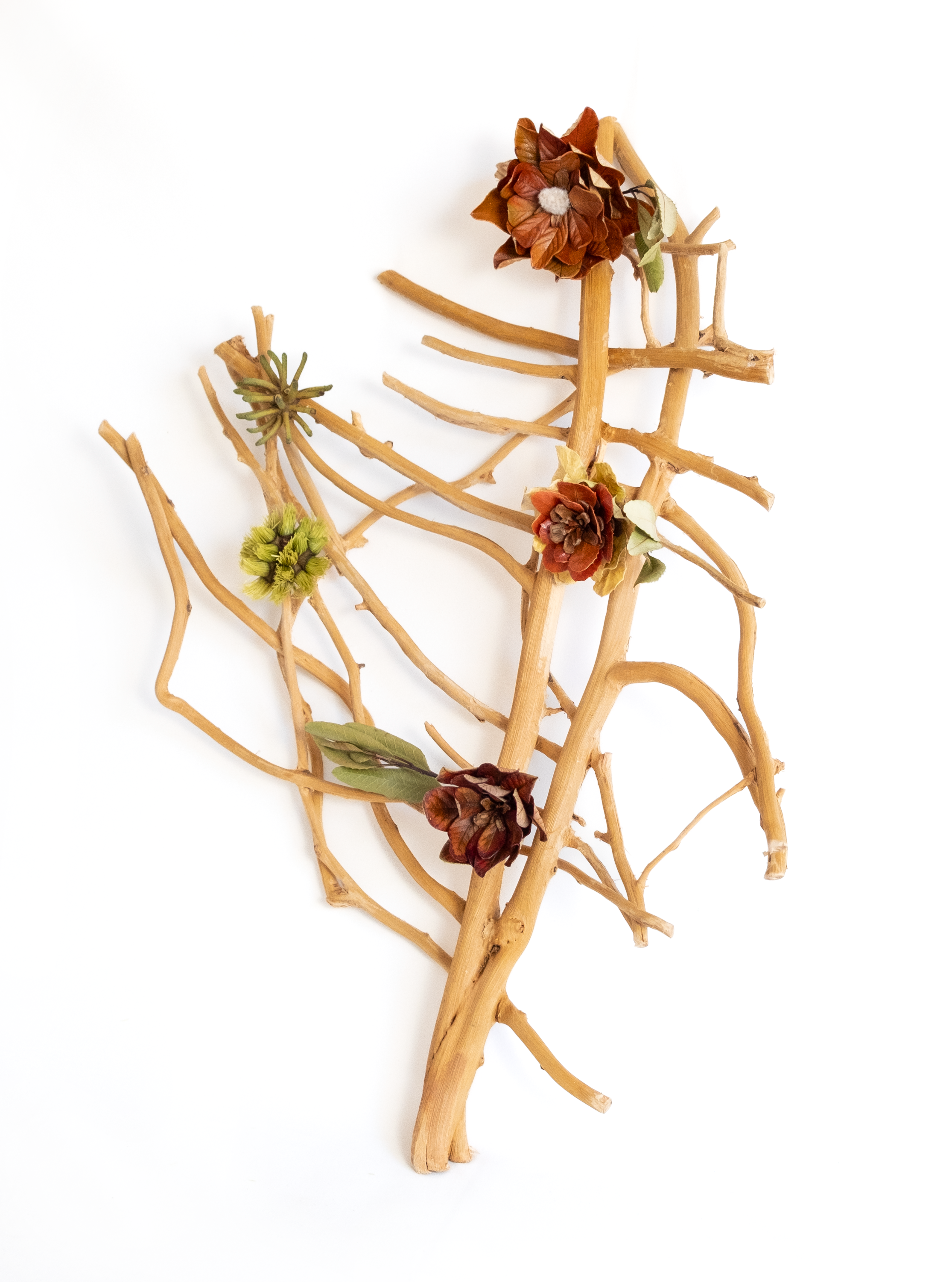 Teva Wonders Sept8.png