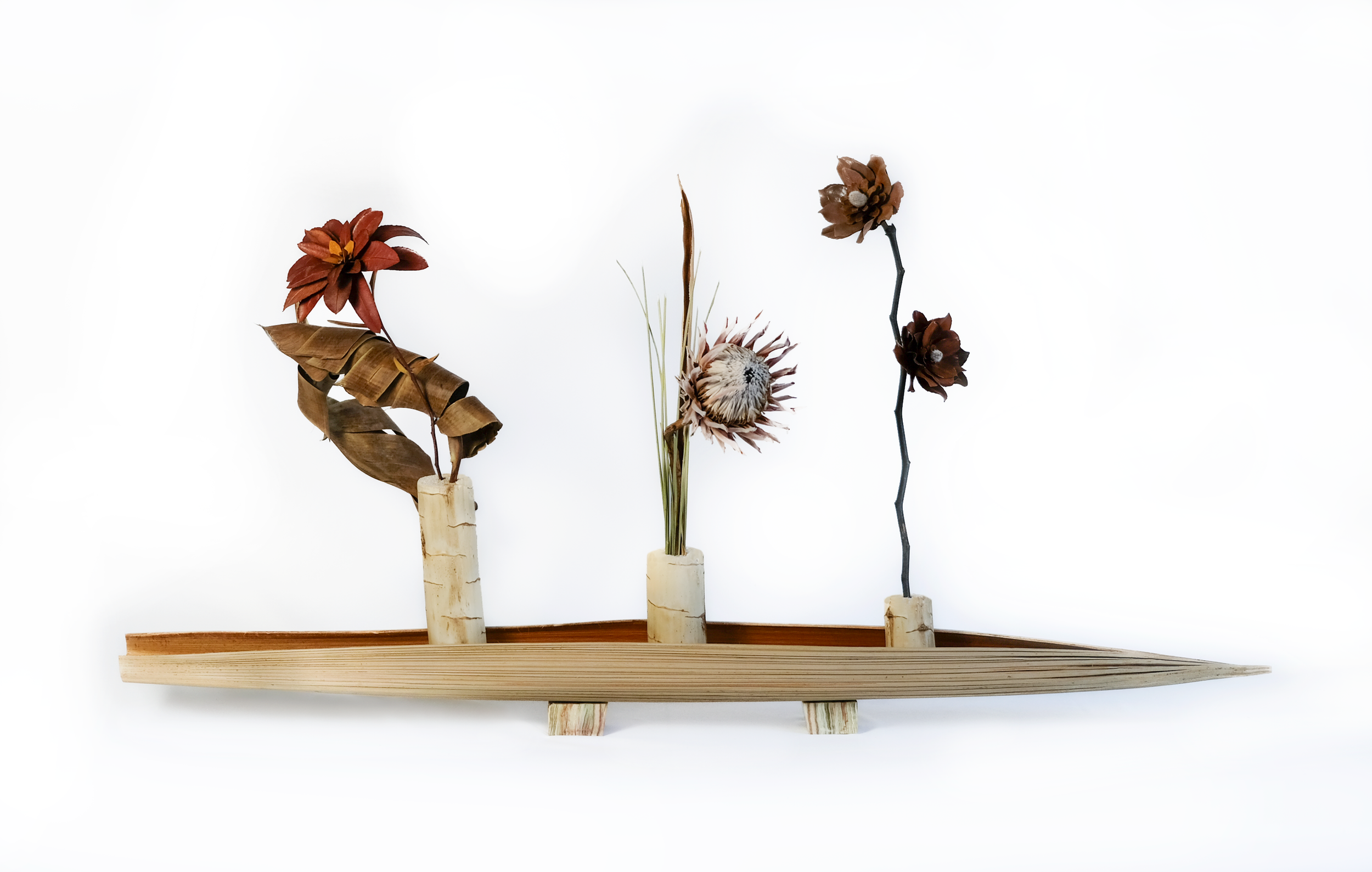 Teva Wonders Sept1.png