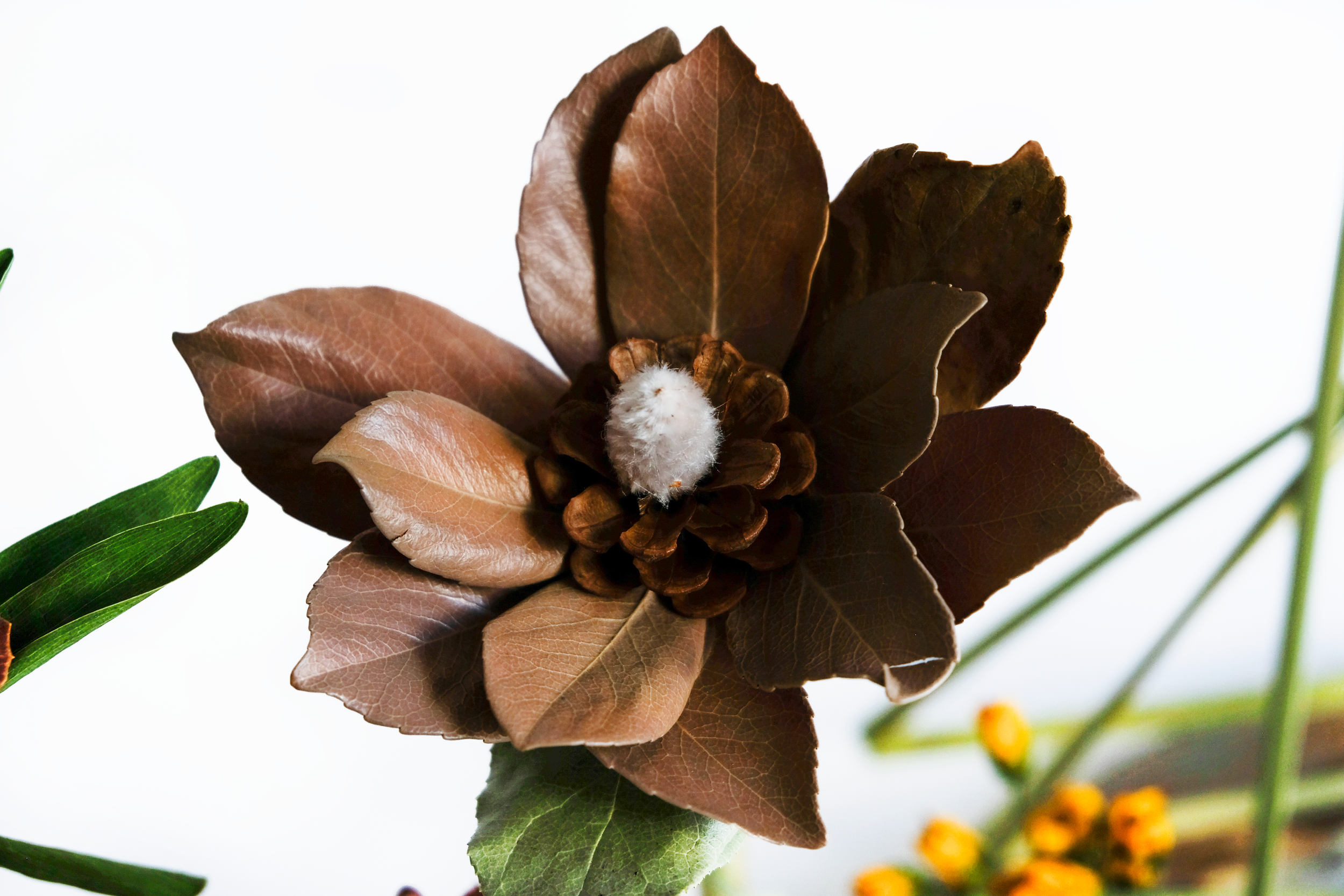 Teva Wonders Sept24 (1).png