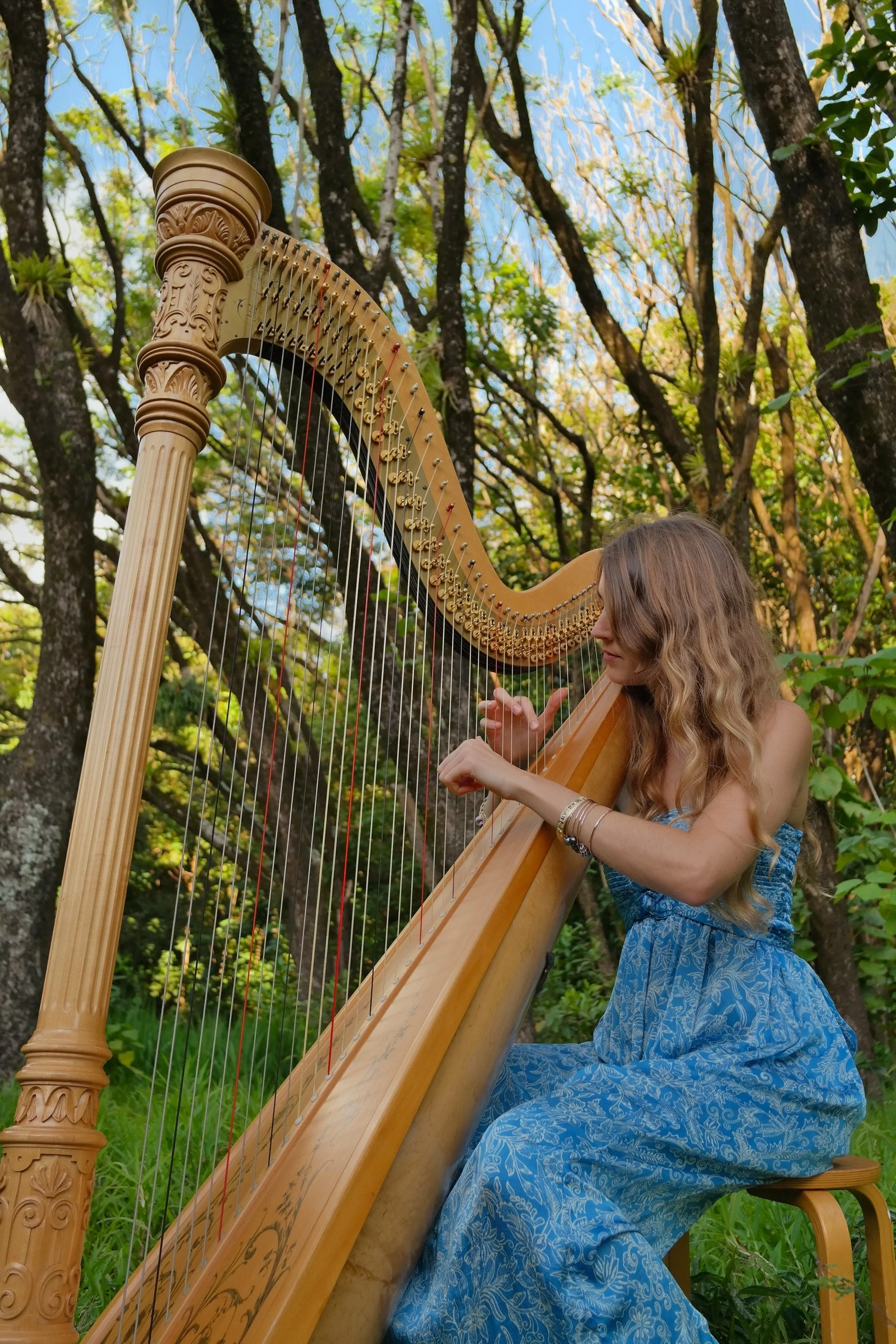 A woman with long, wavy hair wearing a blue patterned dress seated outdoors, playing a large wooden harp surrounded by trees and green foliage.