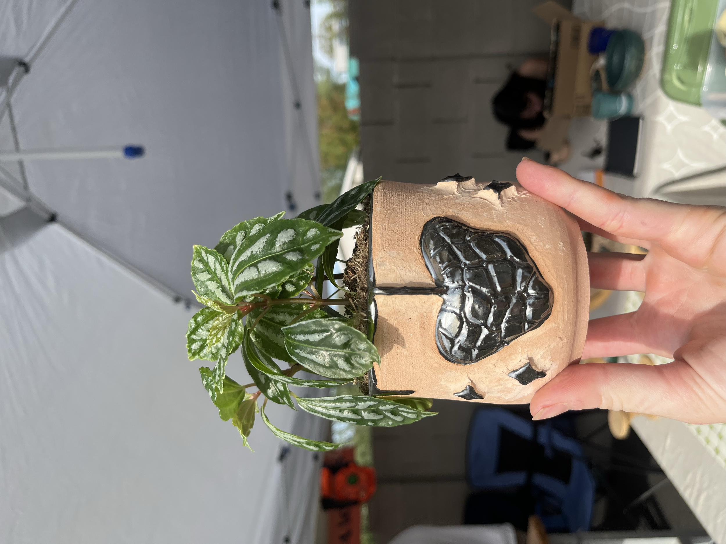 Metallic Planter