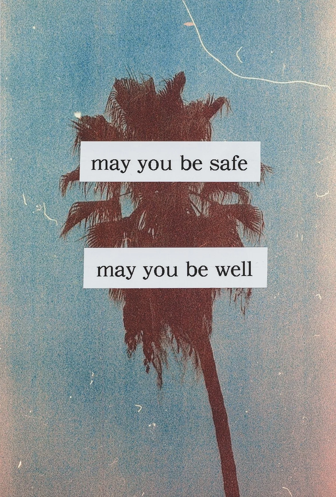 A stylized image of a palm tree silhouette against a blue sky with the words 'may you be safe' and 'may you be well' overlaid.
