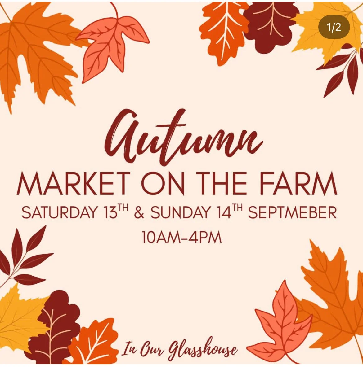 Autumn Market 