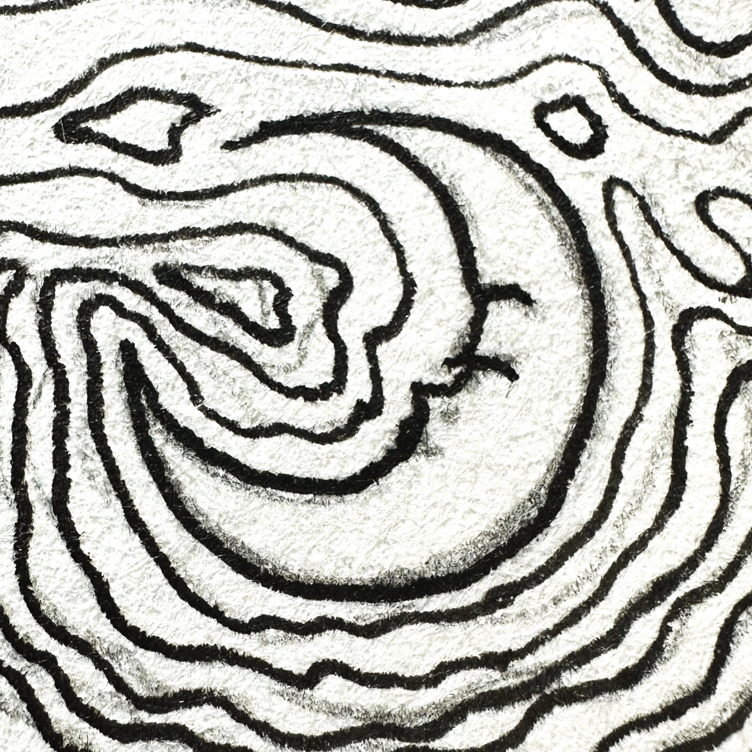 "Luna" (ink on paper)