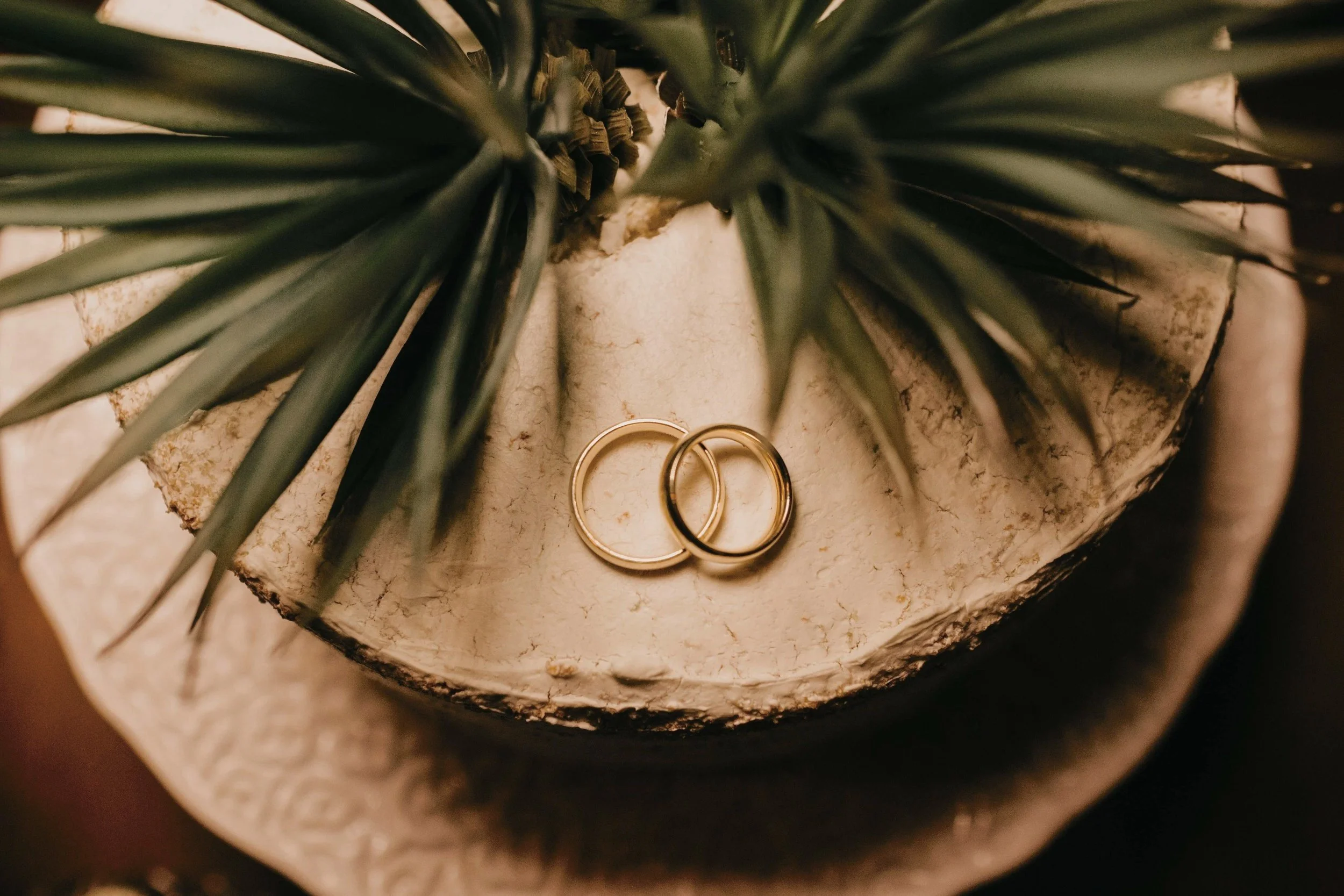Two gold wedding bands placed on a white stone surface with green foliage partially covering the top of the surface.