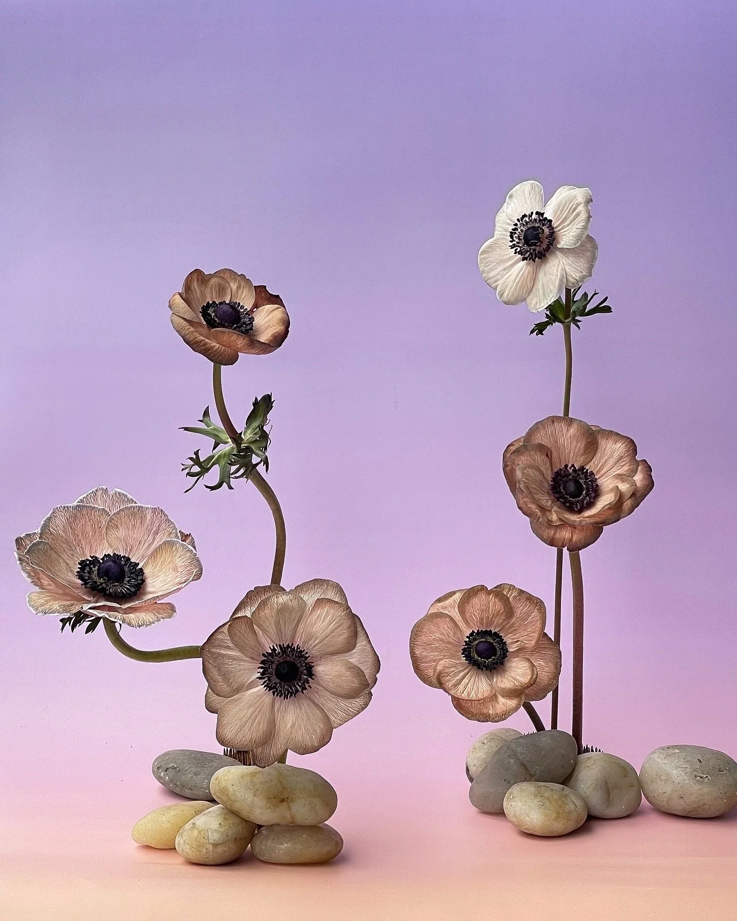 6A4DCEF1-BD0A-43A4-B8AA-930122A8FB7E 2.jpg