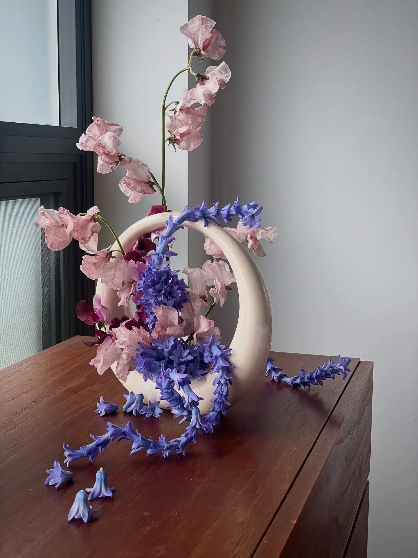 ✨✨🌀🪻🧬🔮✨✨