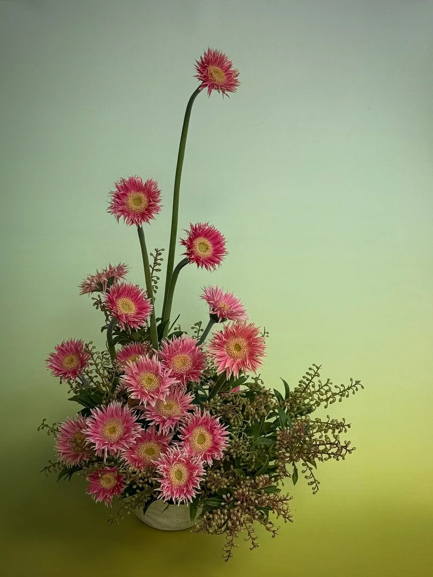 Fuzzy peach 🧸🍑✨