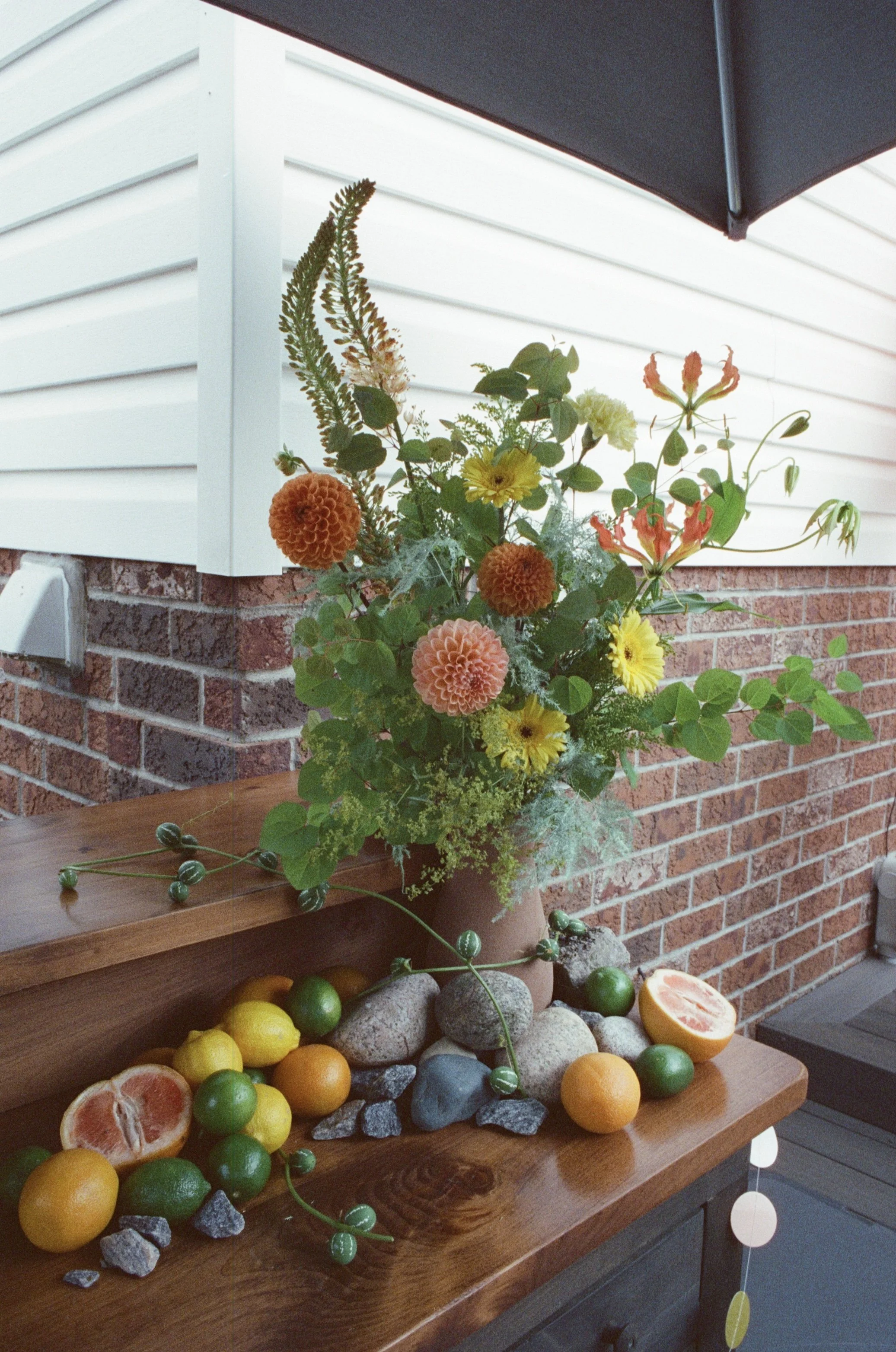 Jun. 2024 
Photo by Zach Patton