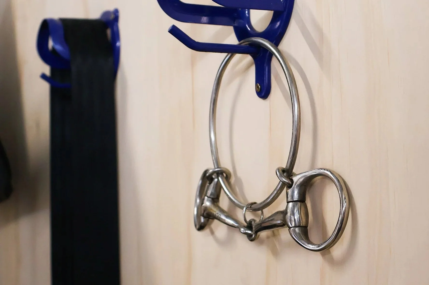 Horse bridle and riding crop hanging on hooks on a wall.