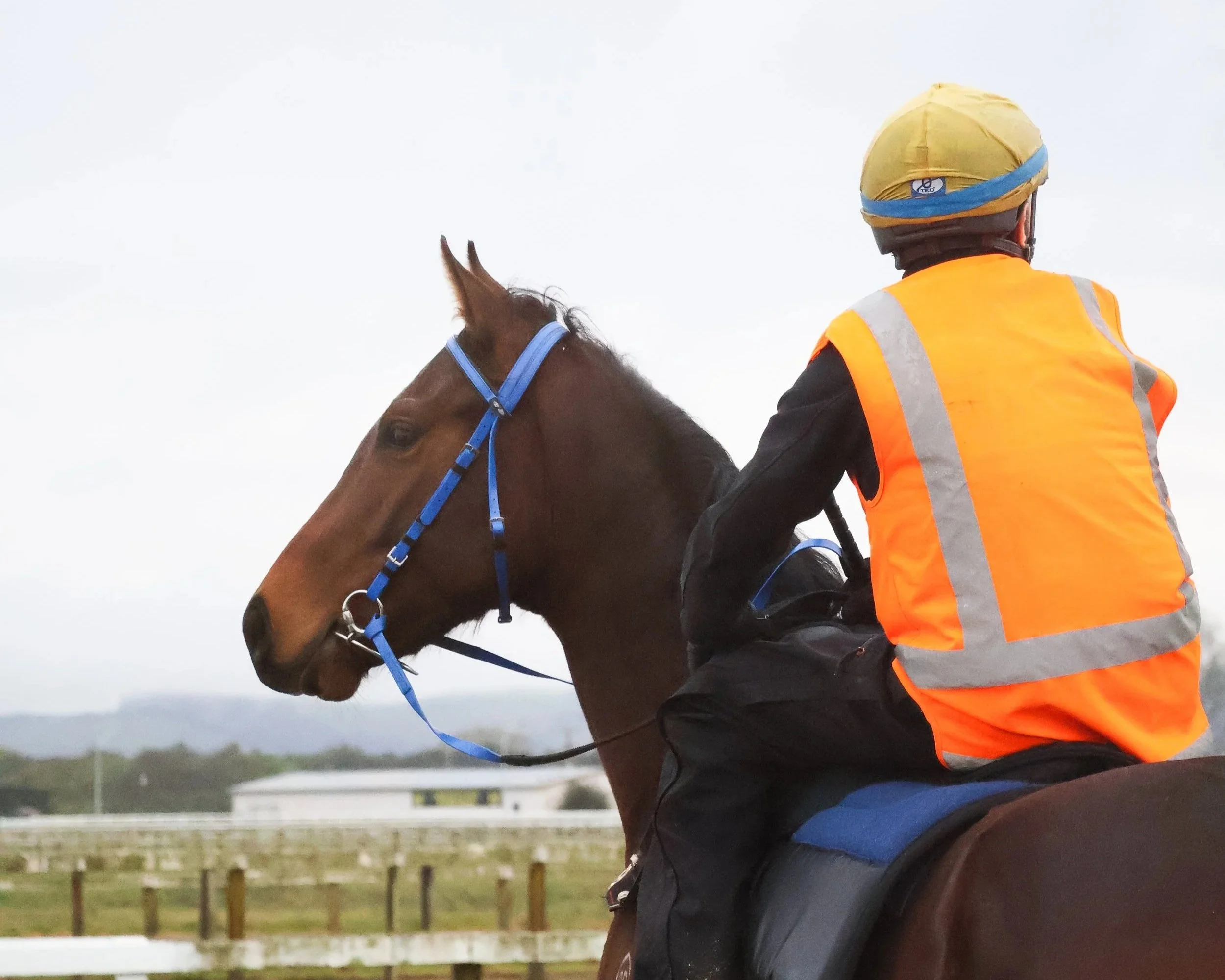 A jockey wearing an orange vest and yellow helmet riding a brown horse with a blue bridle on a race track.