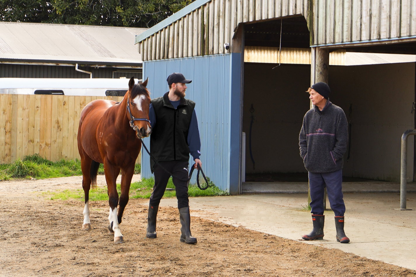 Nick and Mike Kneebone with their Shamexpress colt.