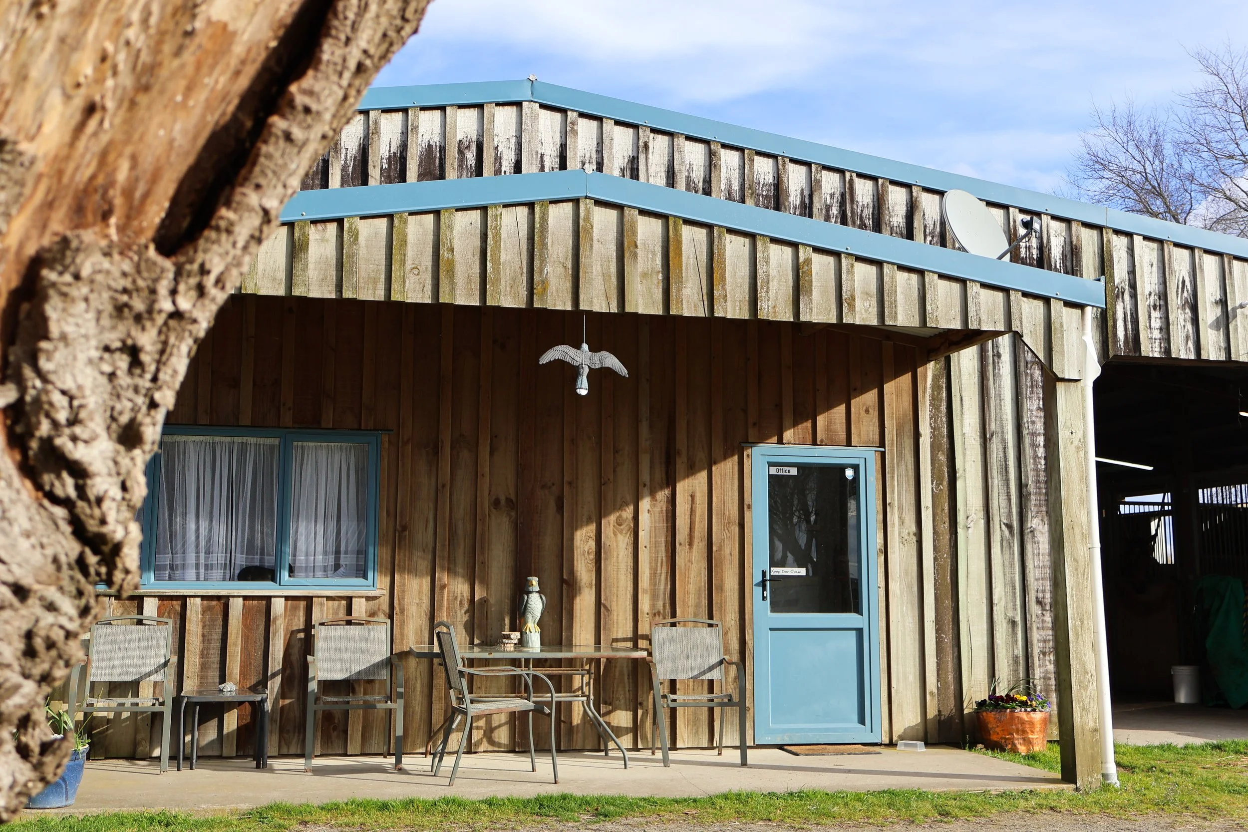 The Patella Racing stables, several chairs and a table outside, a decorative bird hanging from the ceiling, a satellite dish on the roof, and a flower pot on the ground, with a tree in the foreground and a blue sky.