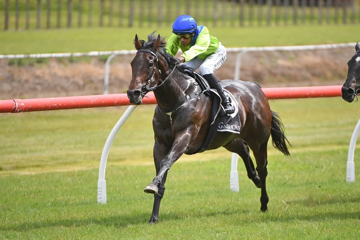 Unison winning at Tauranga in December 2025, his first win in New Zealand since coming from Hong Kong.