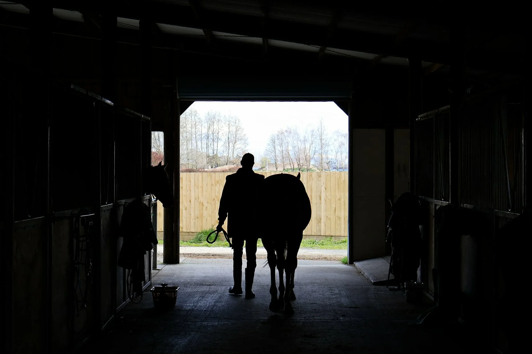 Silhouette of a man leading a horse out of a stable into daylight, with a wooden fence and trees in the background.