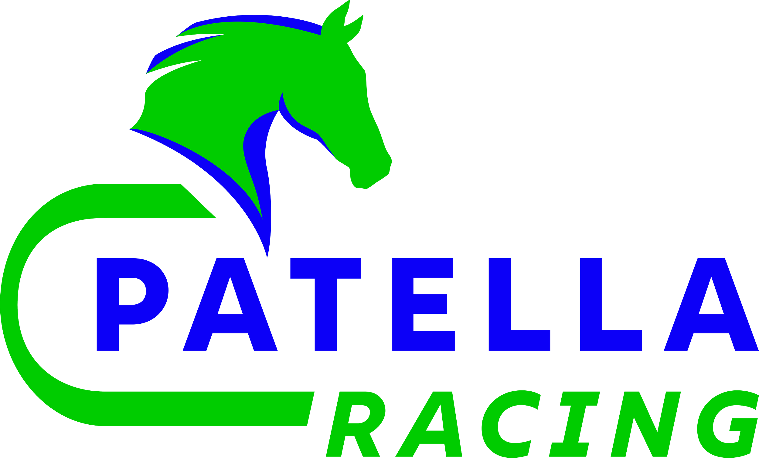 Logo for Patella Racing featuring a green horse head silhouette with blue accents and the text 'Patella Racing' in blue and green