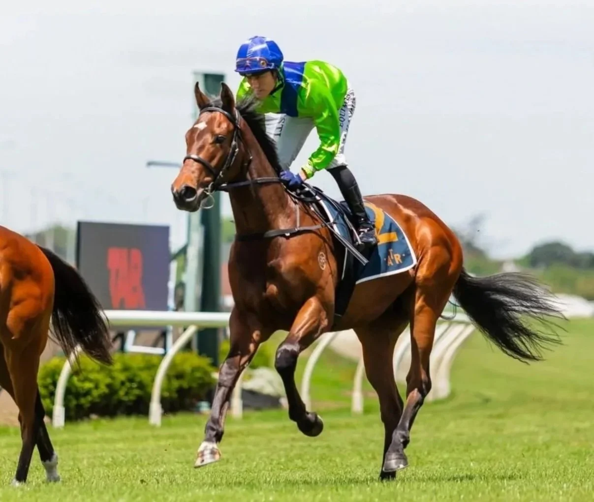 Masa Hashizume rides two year old thoroughbred colt Speed Demon.