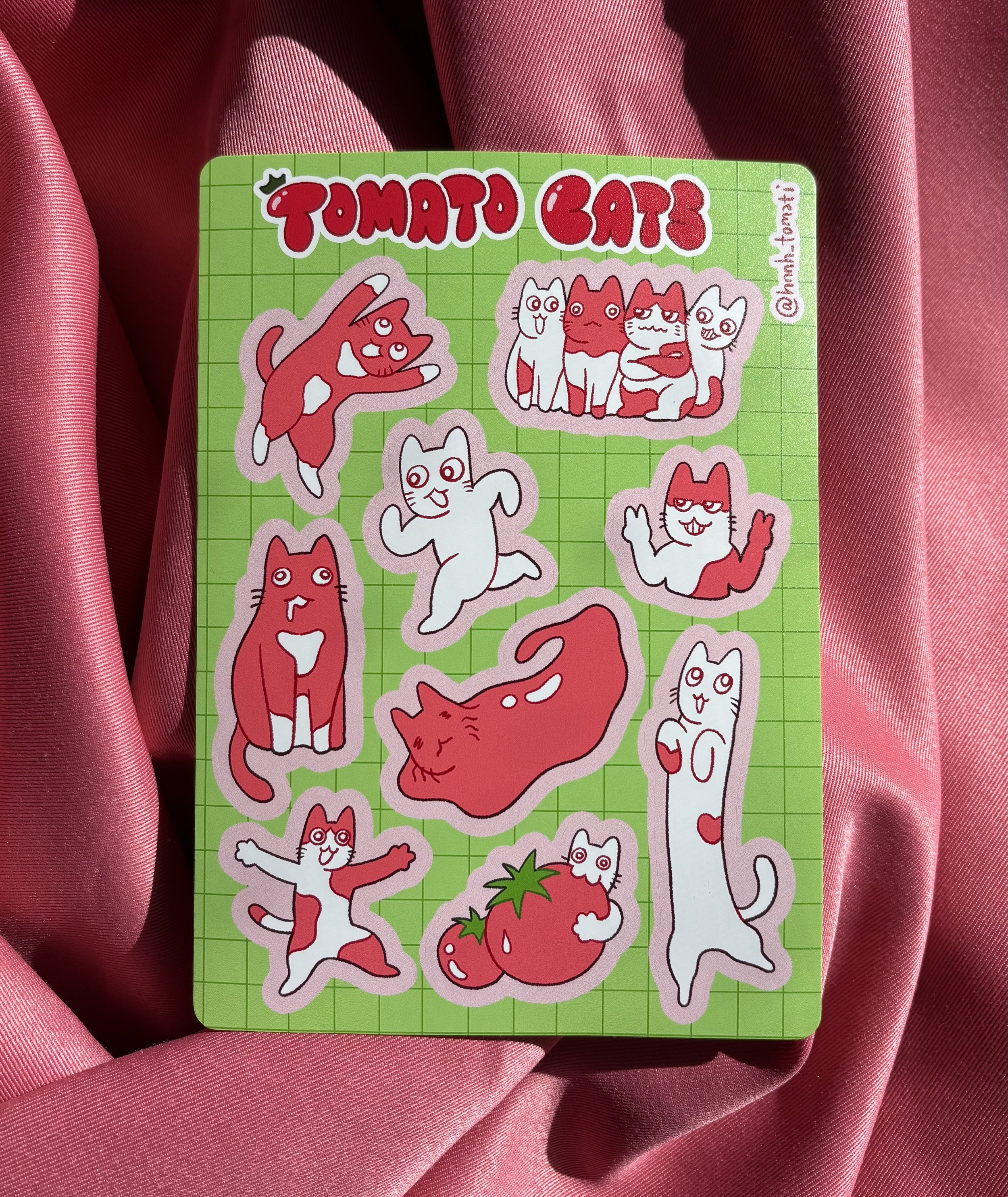 tomato cats 1.jpeg