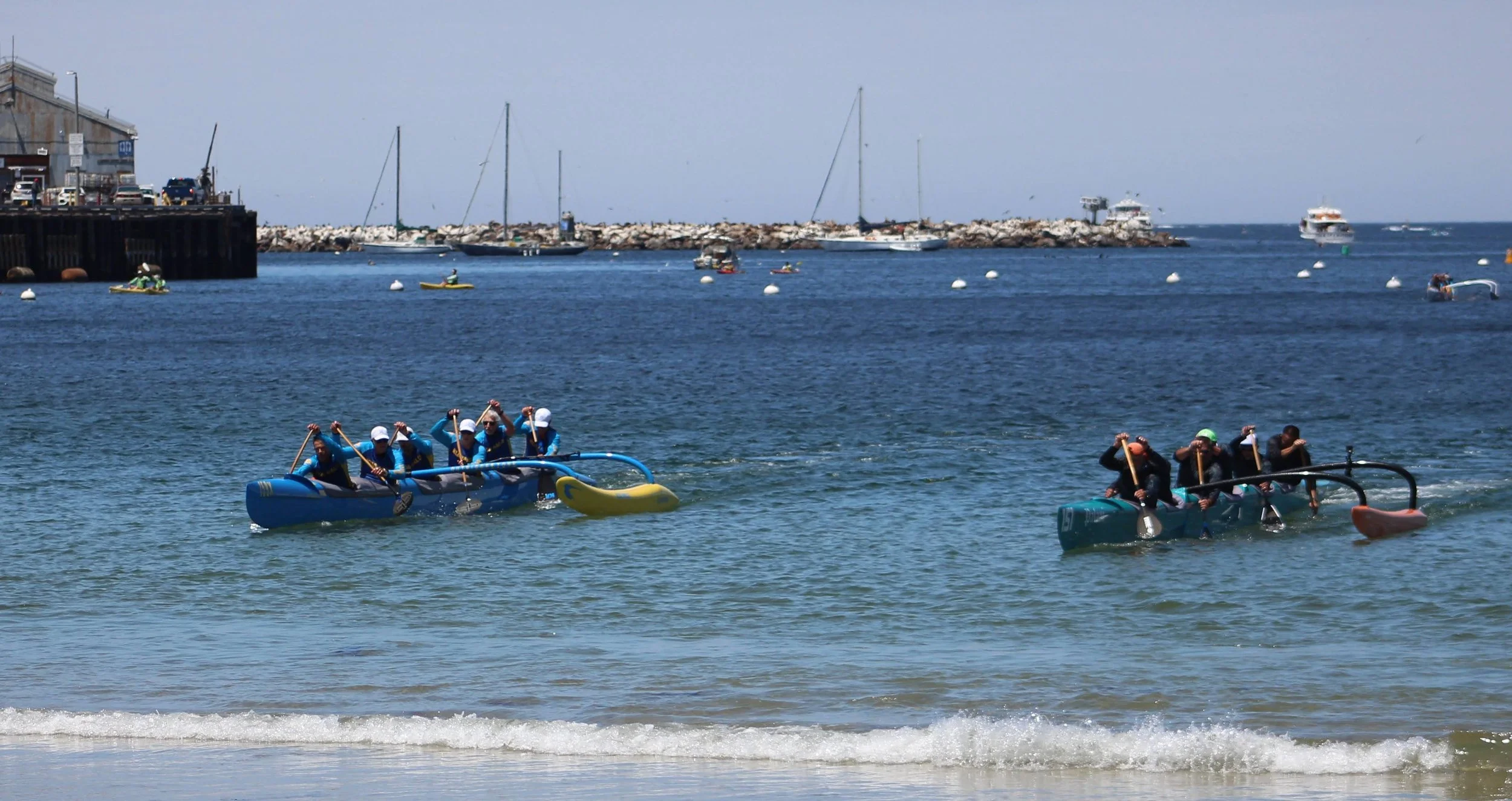 IMG_2354.CR2.jpg