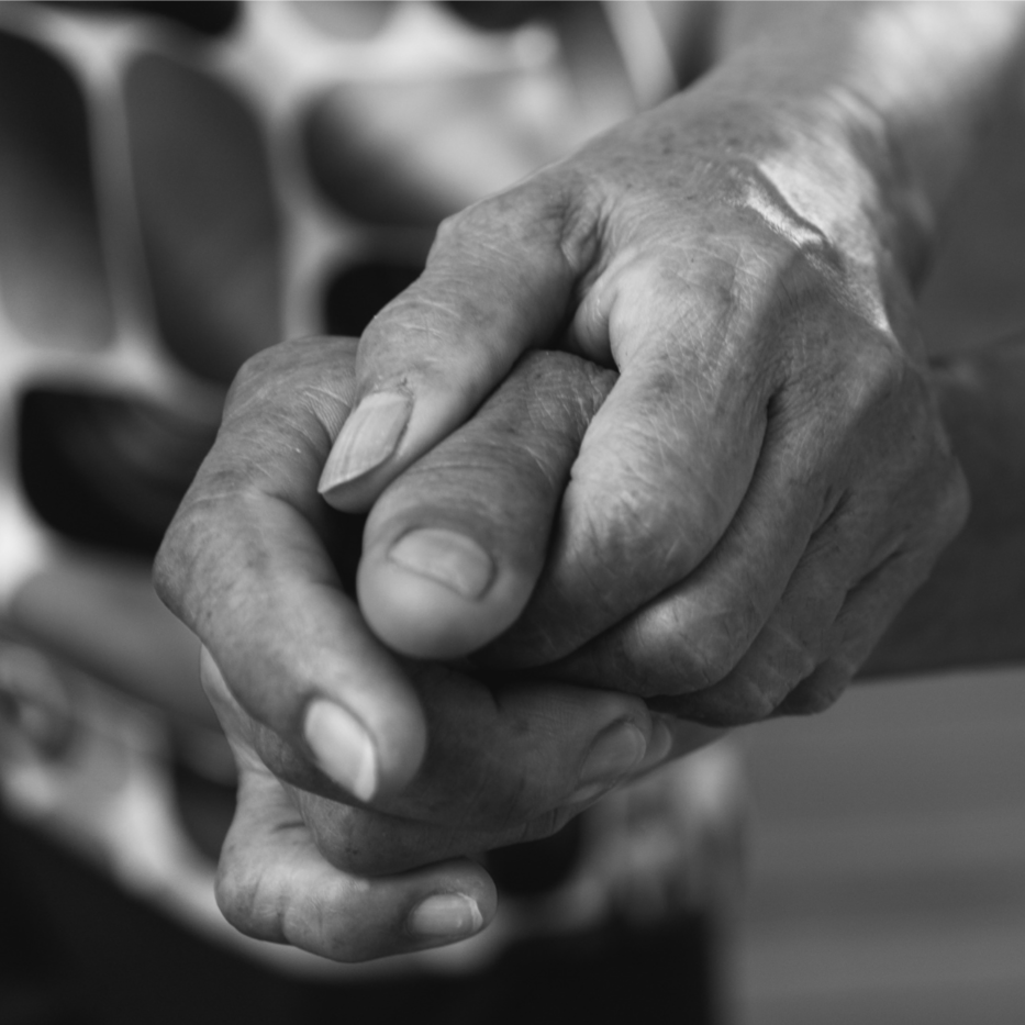 Two hands holding a heart and two coins above it, all with dollar signs.