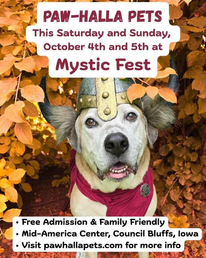 Stop by and see us - we'll be be the only ones with a viking dog banner!
#councilbluffs #omaha #mysticfest #weekendplans #pawhallapets #vikingdog