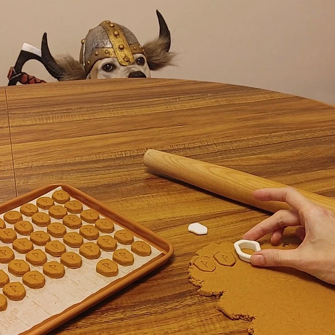 Calling All Dog Lovers & Furry Oracles
We’ve been busy in the forge (aka our kitchen) crafting handmade rune dog treats your furry warriors will love!
📅 Join us this Friday, Sept. 5th at Dungeon Crate (6404 Maple St, Omaha) in the Benson