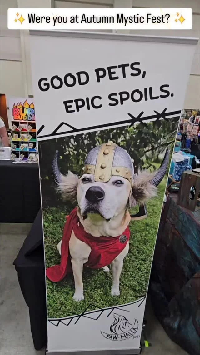 Thank you for everyone who stopped to see us at the Autumn Mystic Fest!
Didn't get a chance to say hi? You can still visit https://www.pawhallapets.com
#mysticfest #vikingdog #pawhallapets