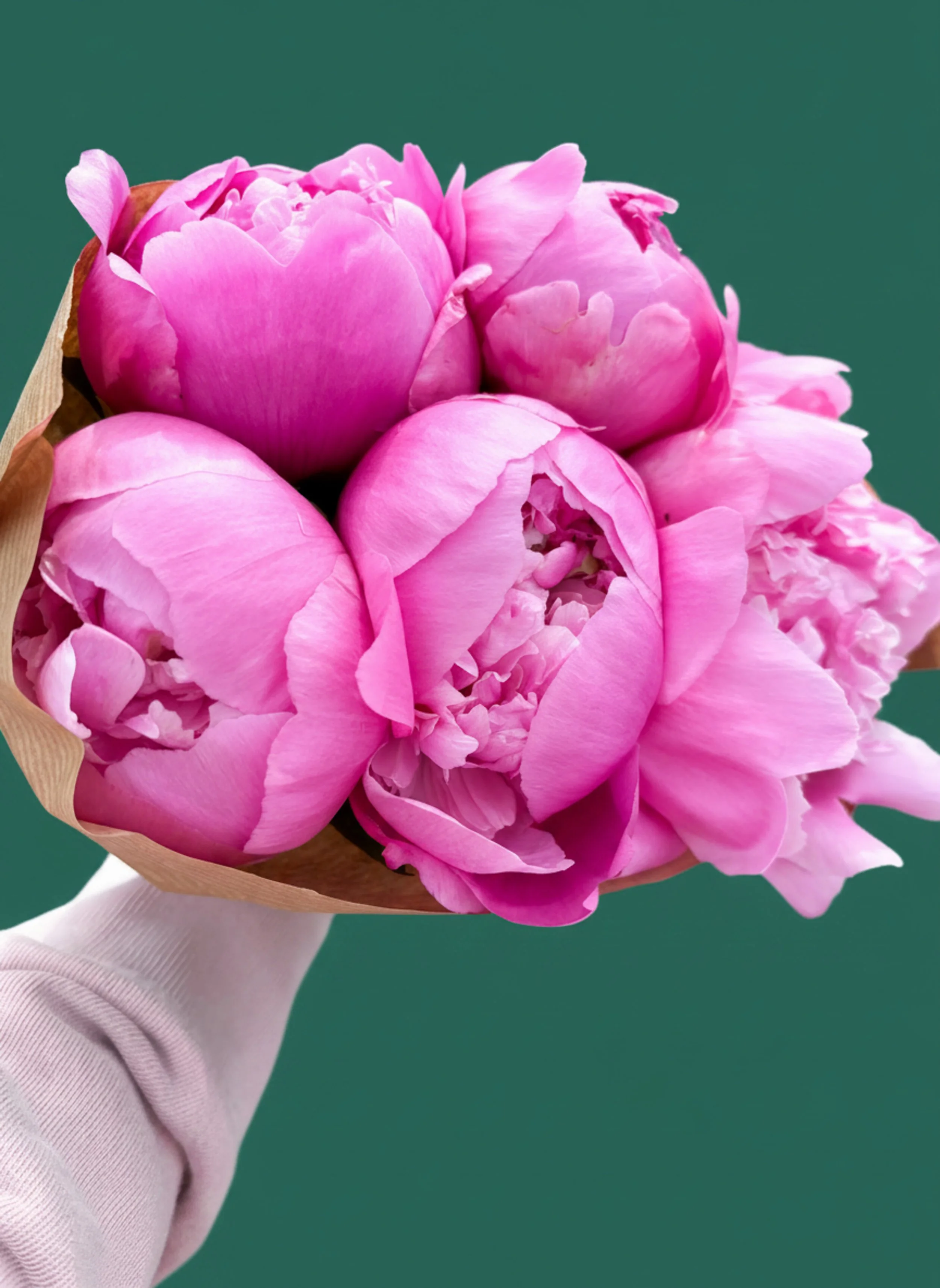 holding a bouquet of vibrant pink peonies with green leaves.