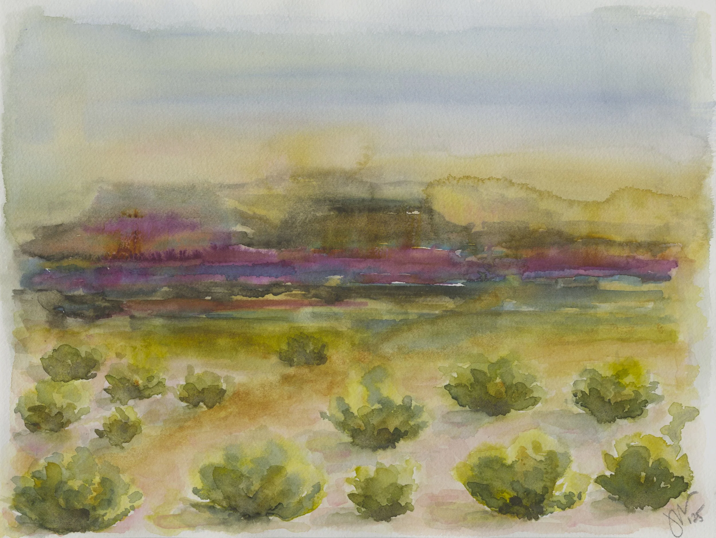 Original watercolor floral painting, Bloom After Rain, by Arizona artist Jenn Newman, inspired by renewal after a desert rain."