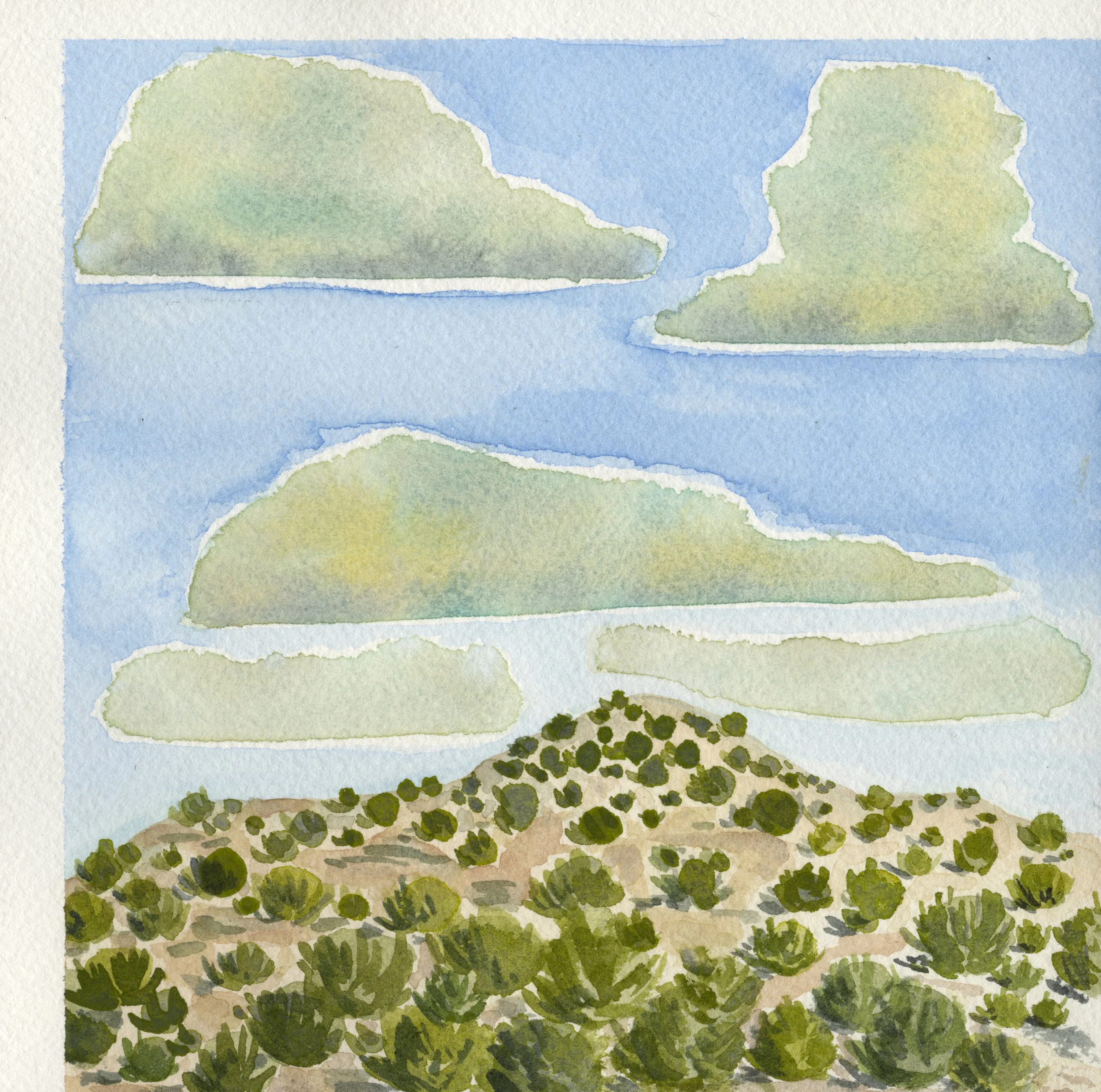 Juniper