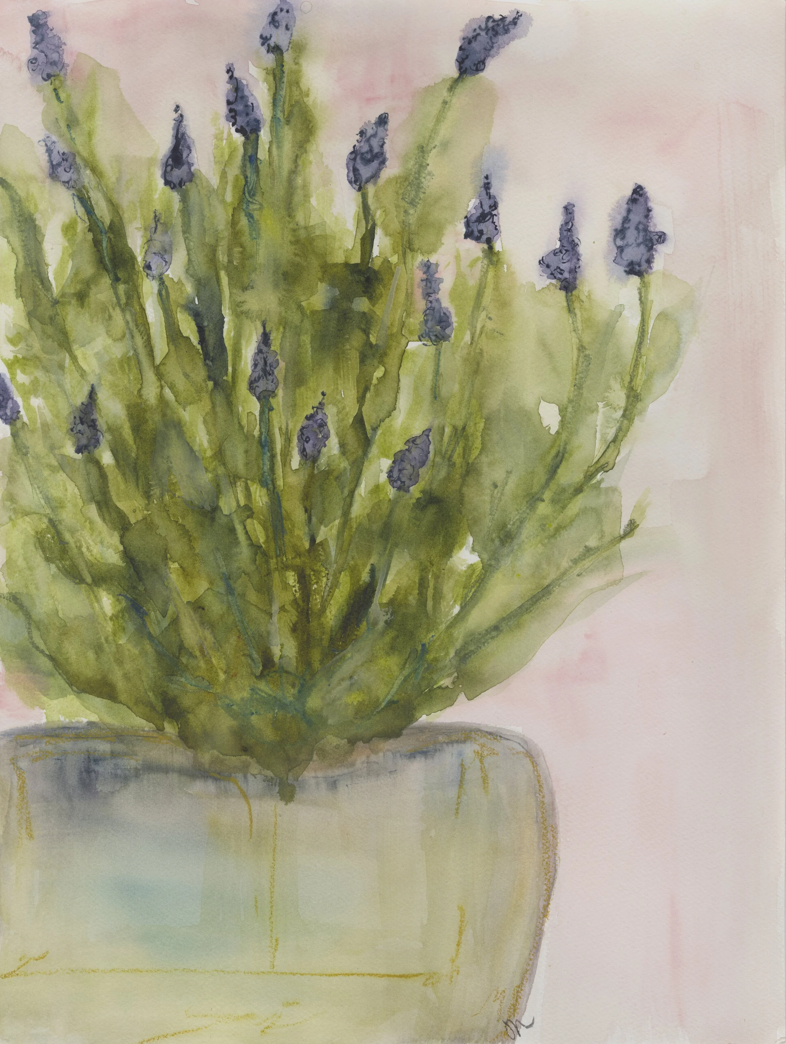 Still Fragrance