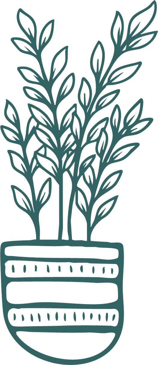 Line drawing of a potted plant with tall, leafy stems.