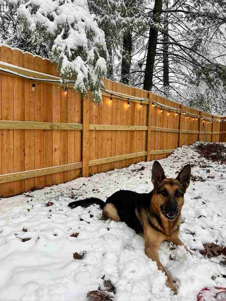 Wood Privacy Fence Roanoke VA