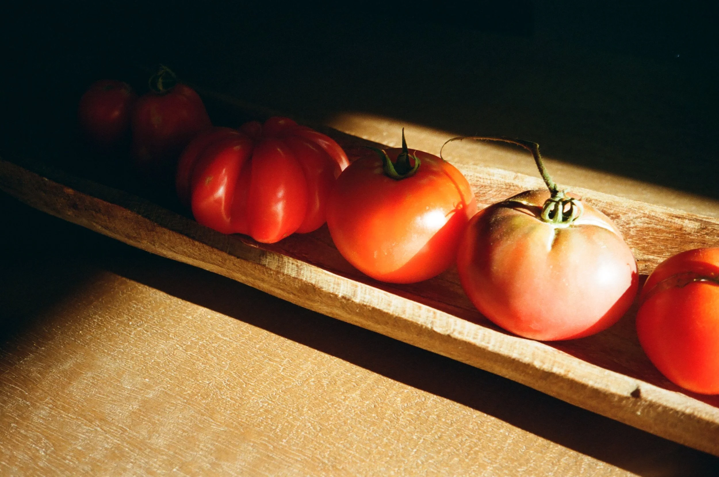 grow to eat series- Tomatoes