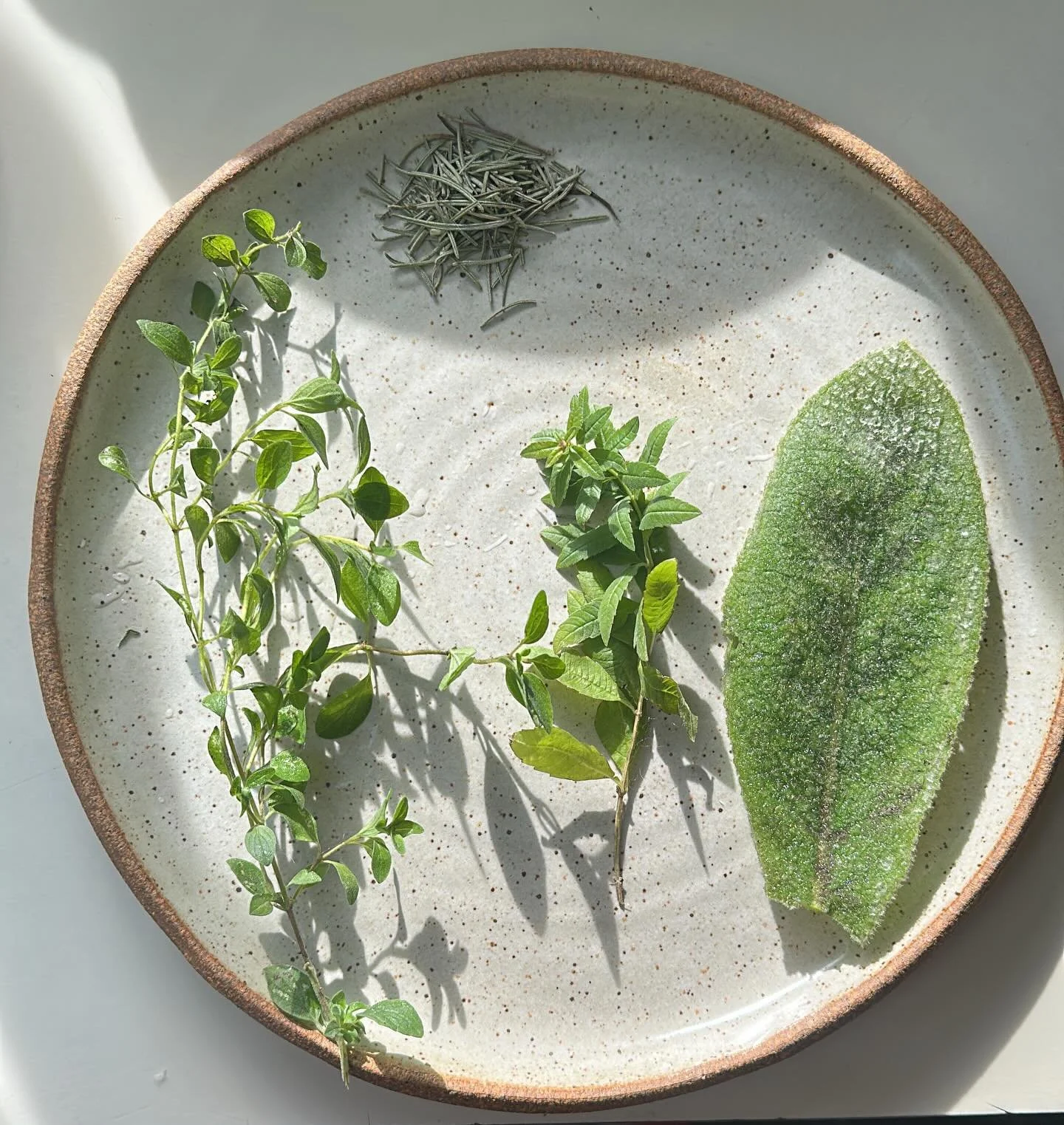 Happy 2026! 

I have been reminded that winter is time for rest and recharging, and time to slow down and heal; I have been sick the past few days and wanted to share my remedies from the garden: 

First, I always make a big batch of soup that lasts 