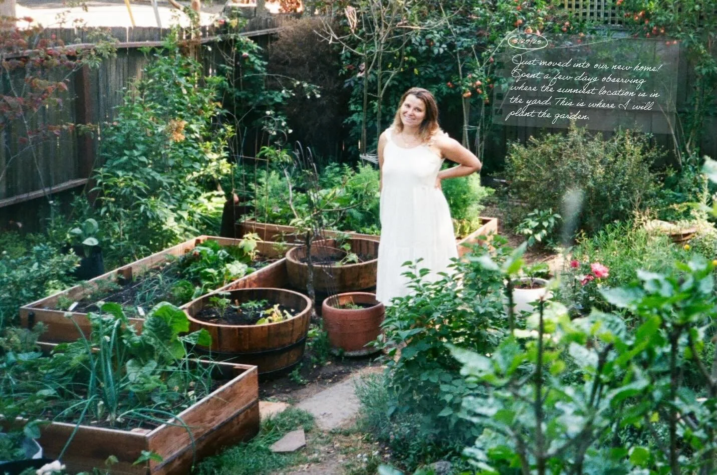 this past year building @sunsetgardentable