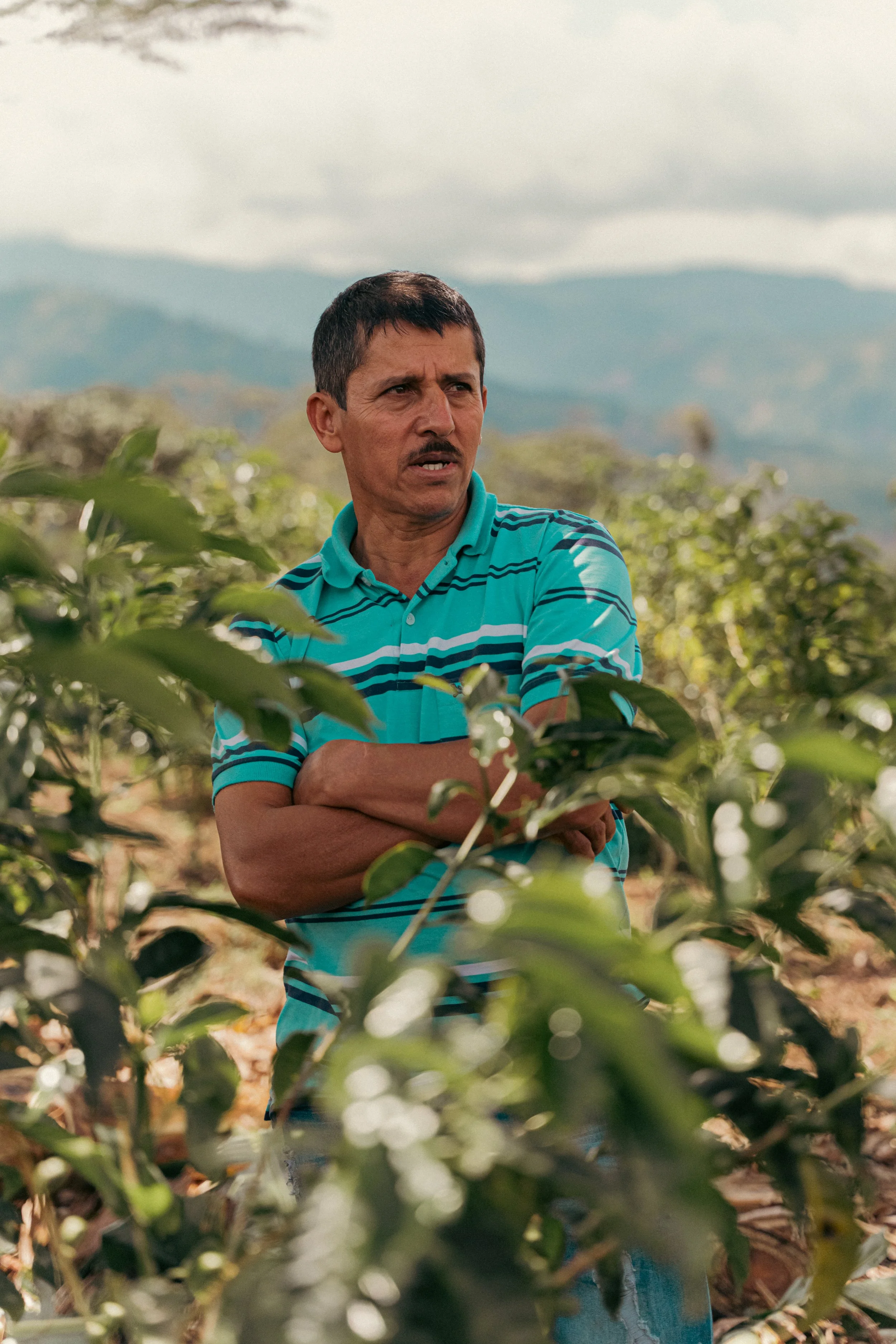 Man standing in a green field with arms crossed, wearing a blue striped polo shirt, with mountains and cloudy sky in the background.