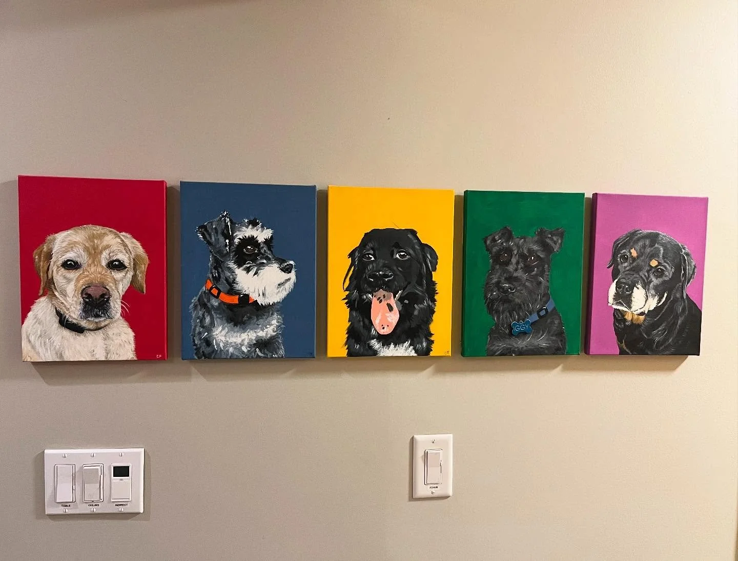 🐶❤️ not the prettiest picture😅 but i finally completed this portrait wall in my dad&rsquo;s house! these are all the pups that have lived in their home: Harper, 🪽Otto, Roscoe, 🪽Iggy, and 🪽Sasha. 

i painted the middle 3 back in 2018. unfortunate