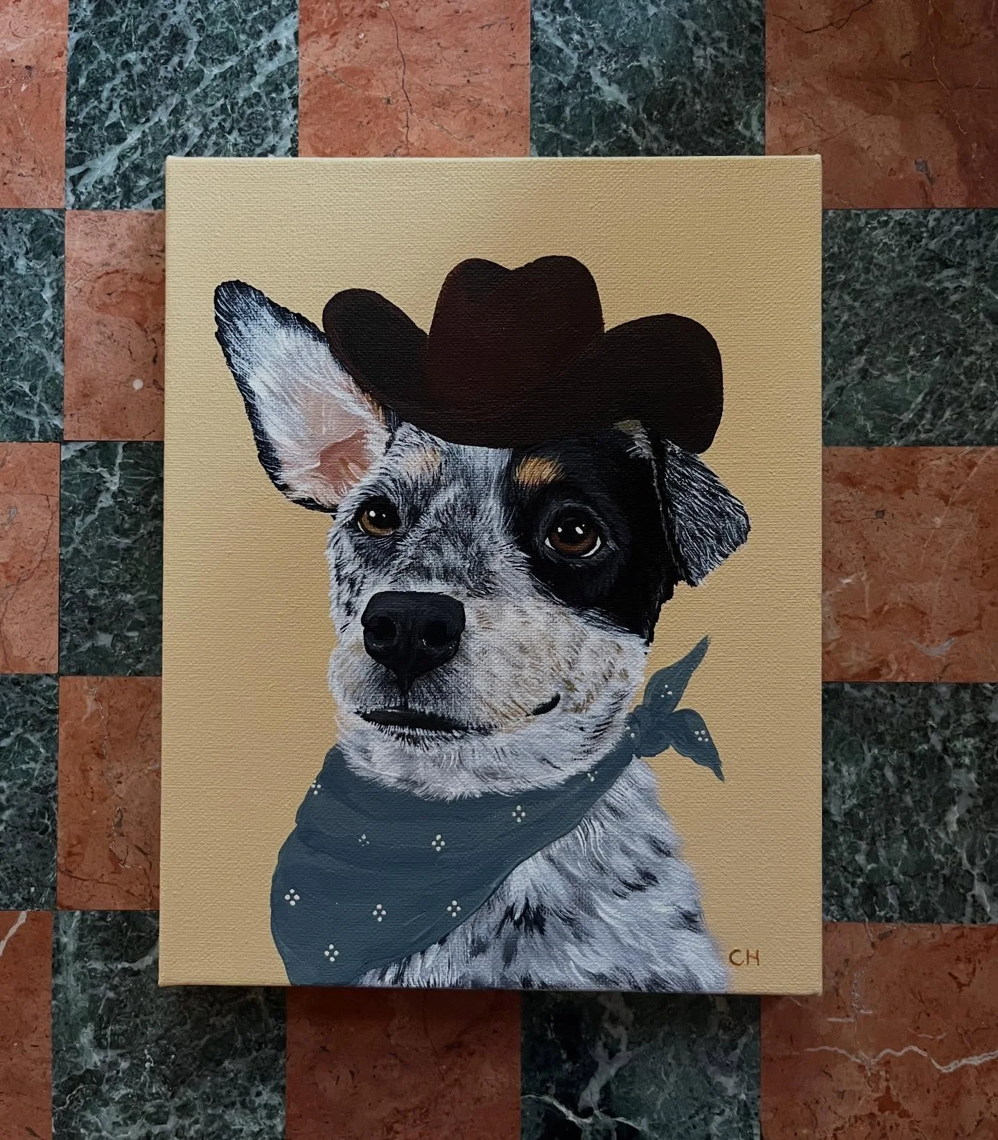 🌾 boone 🌾 for my beautiful friend, erin! obsessed with this spunky little guy 😭