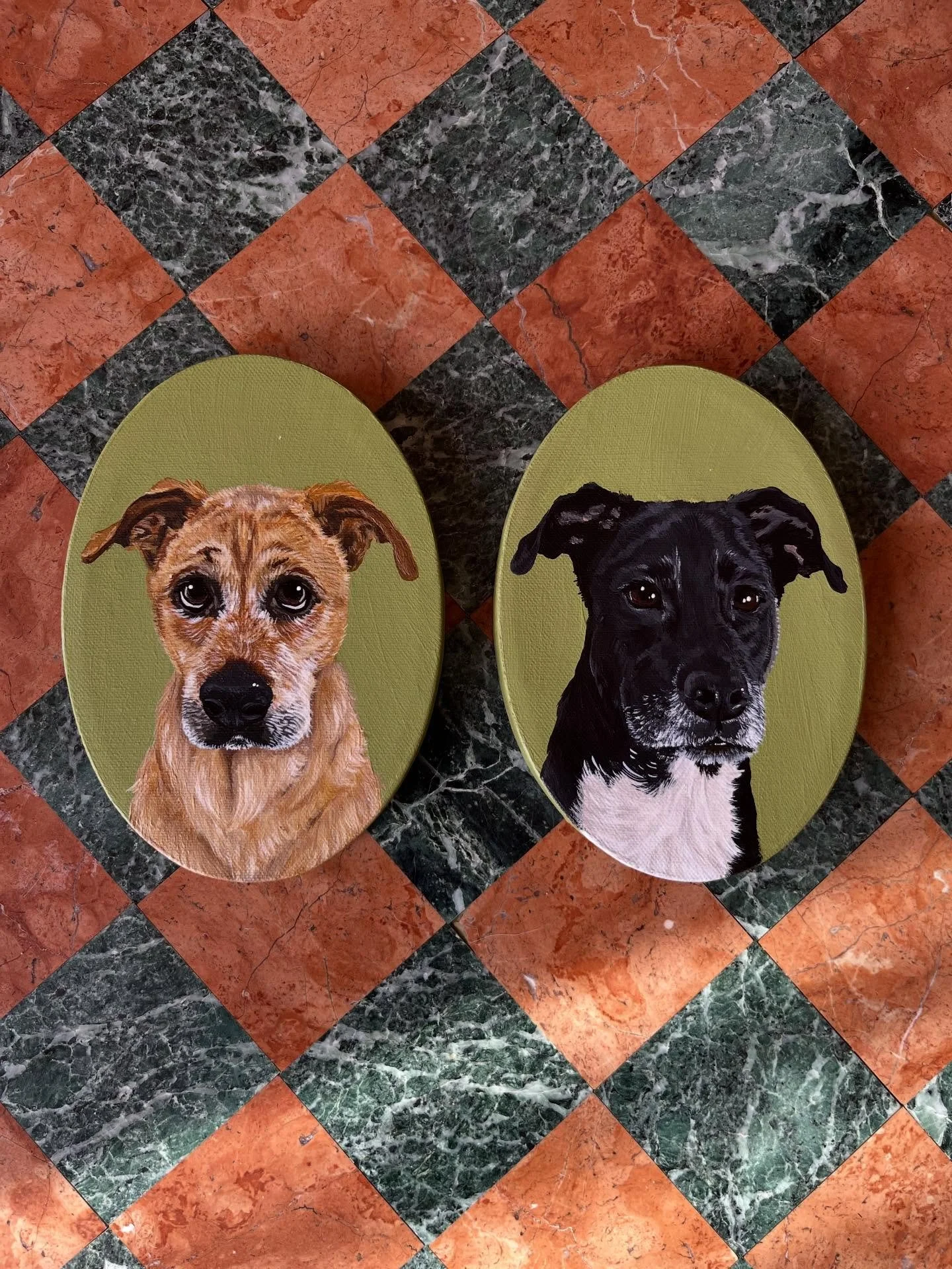 🫶 portraits done via a sweet small world connection from AZ to Chicago! 🌎🎀🌈