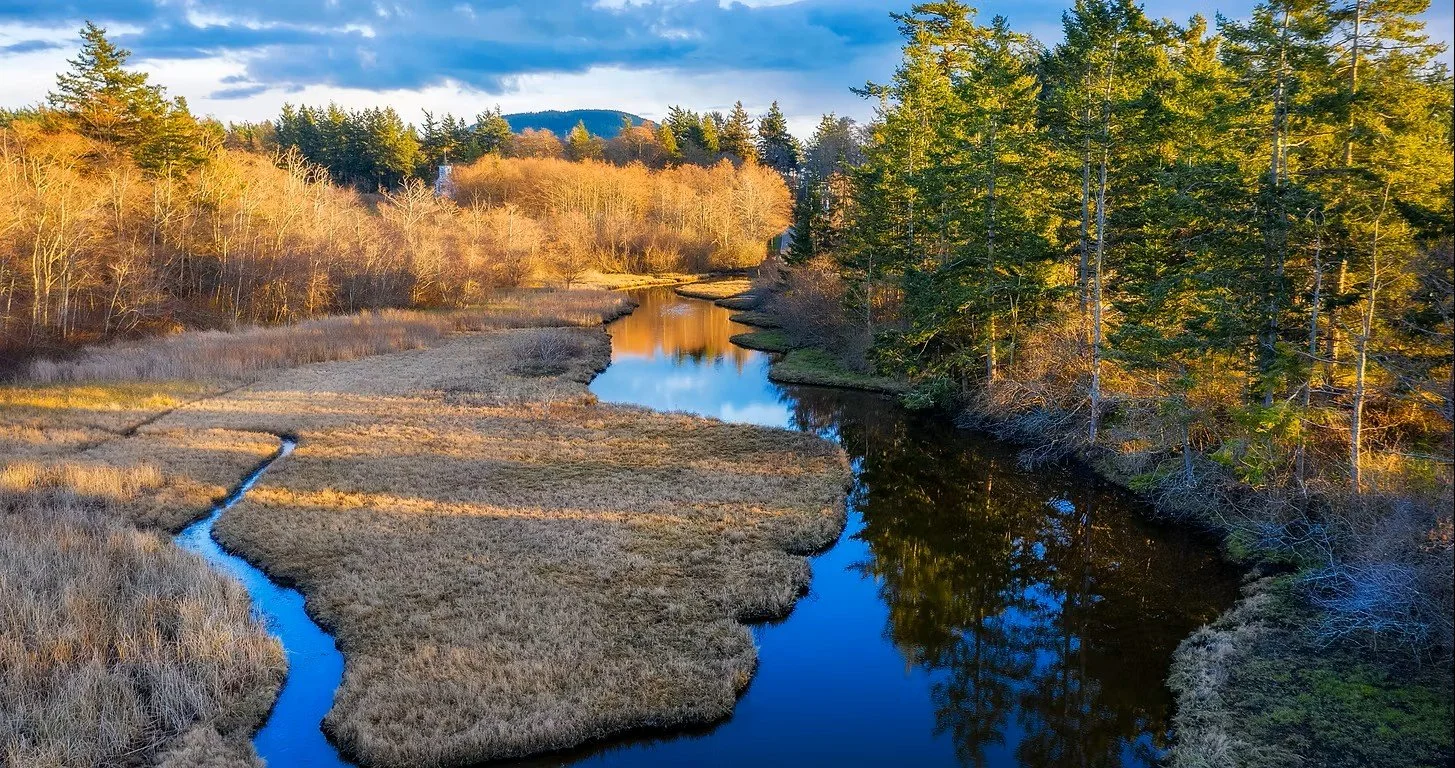 A scenic view of a winding river flowing through a forested landscape with trees on both banks, some with bare branches and others with green foliage, under a partly cloudy sky.