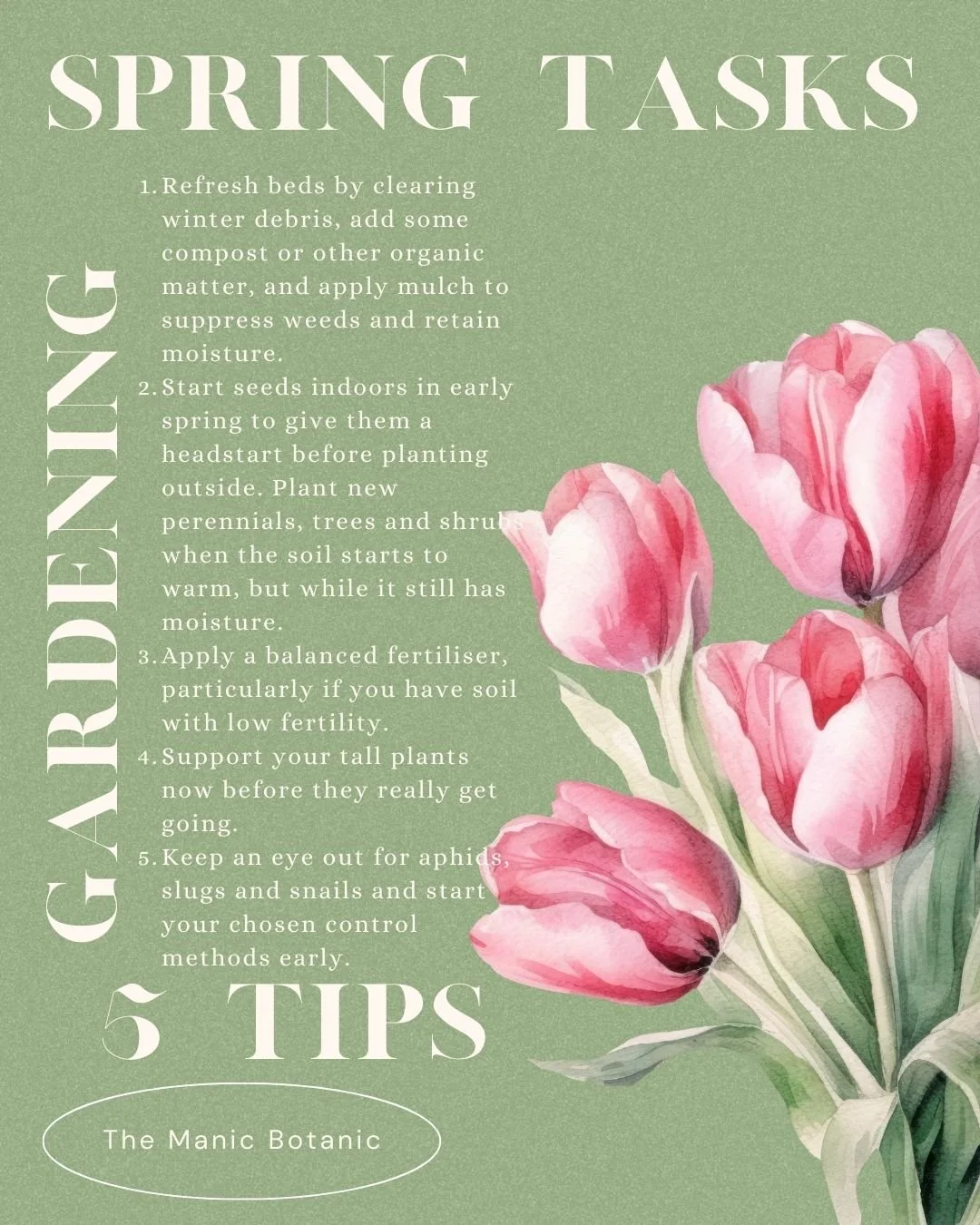 Spring garden task list prioritise what to do how to useful tips tricks knowledge garden bulbs mulch mulching weeds weeding pests close eye tulips seasonal chores 